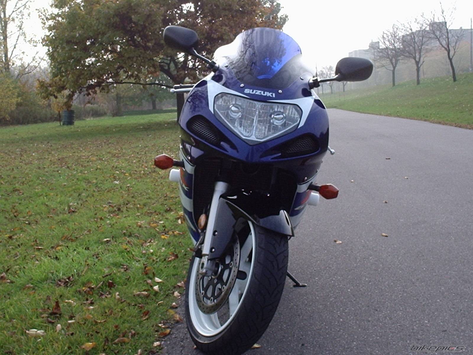 2003 SUZUKI GSX R 600 | Picture 246765 motorcycle photo
