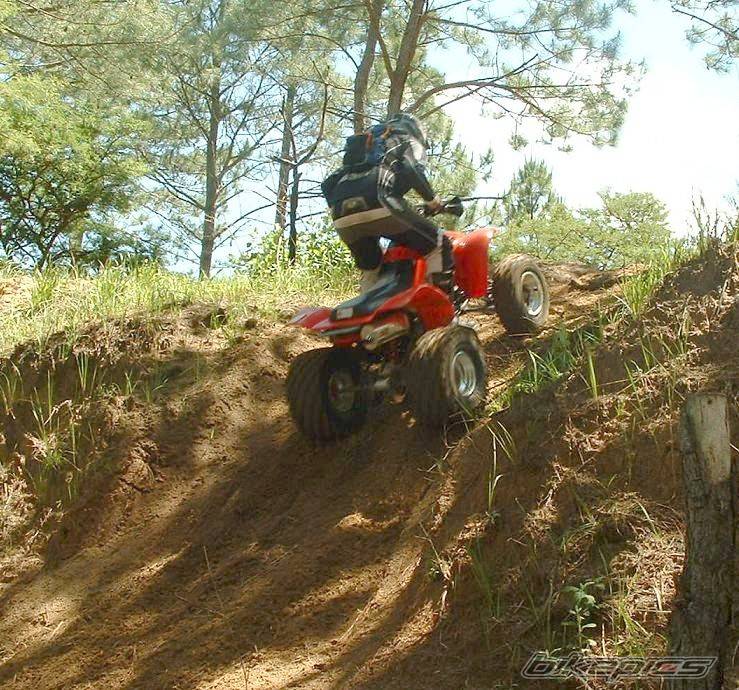 2004 HONDA 300EX | Picture 246782 motorcycle photo