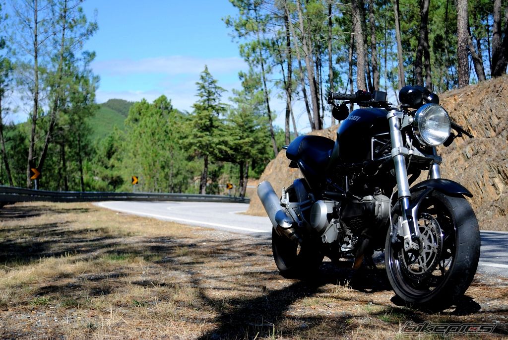 2005 DUCATI MONSTER 620 | Picture 2467865 motorcycle photo