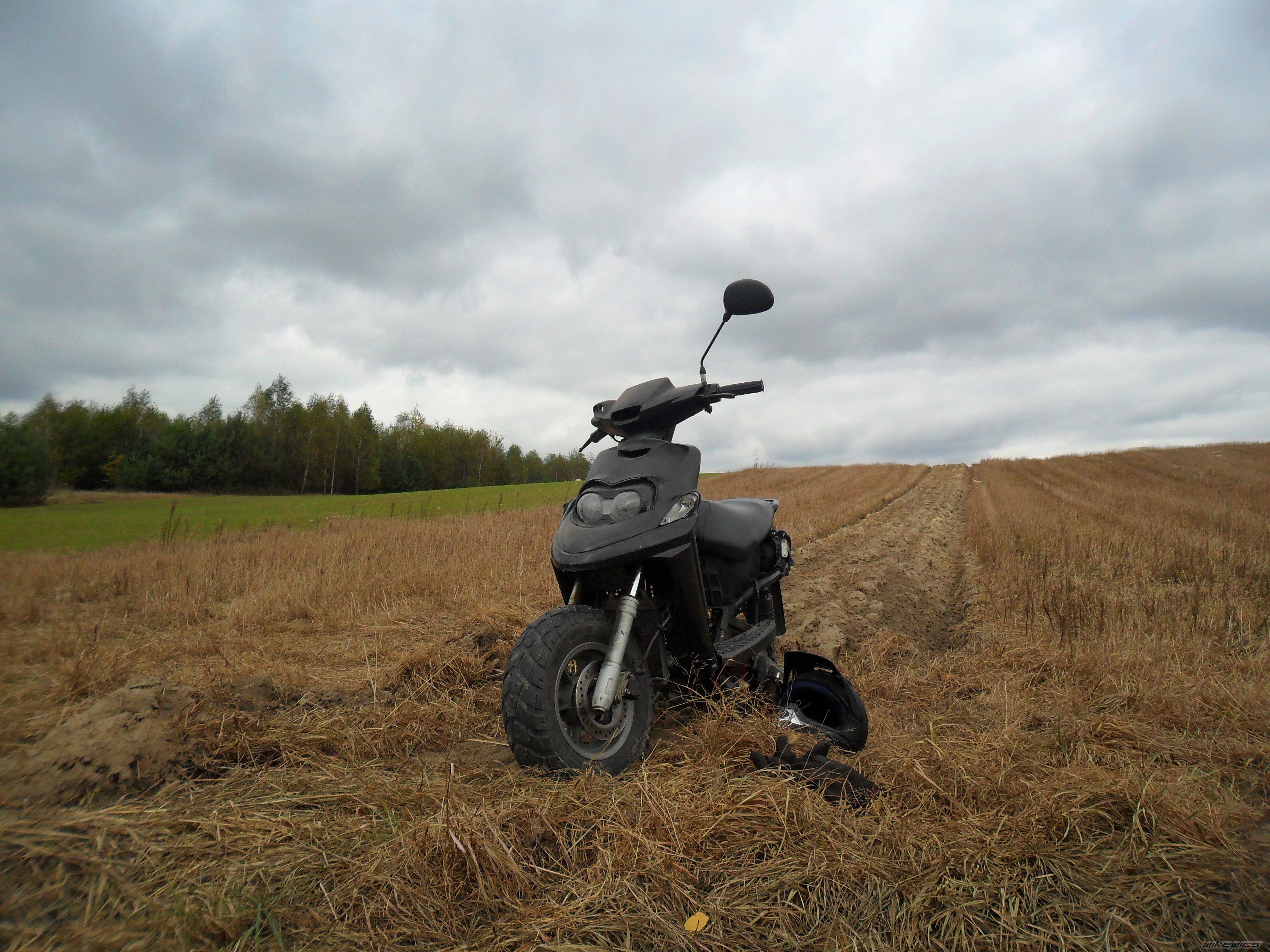 2001 YAMAHA BW 50 | Picture 2467942 motorcycle photo