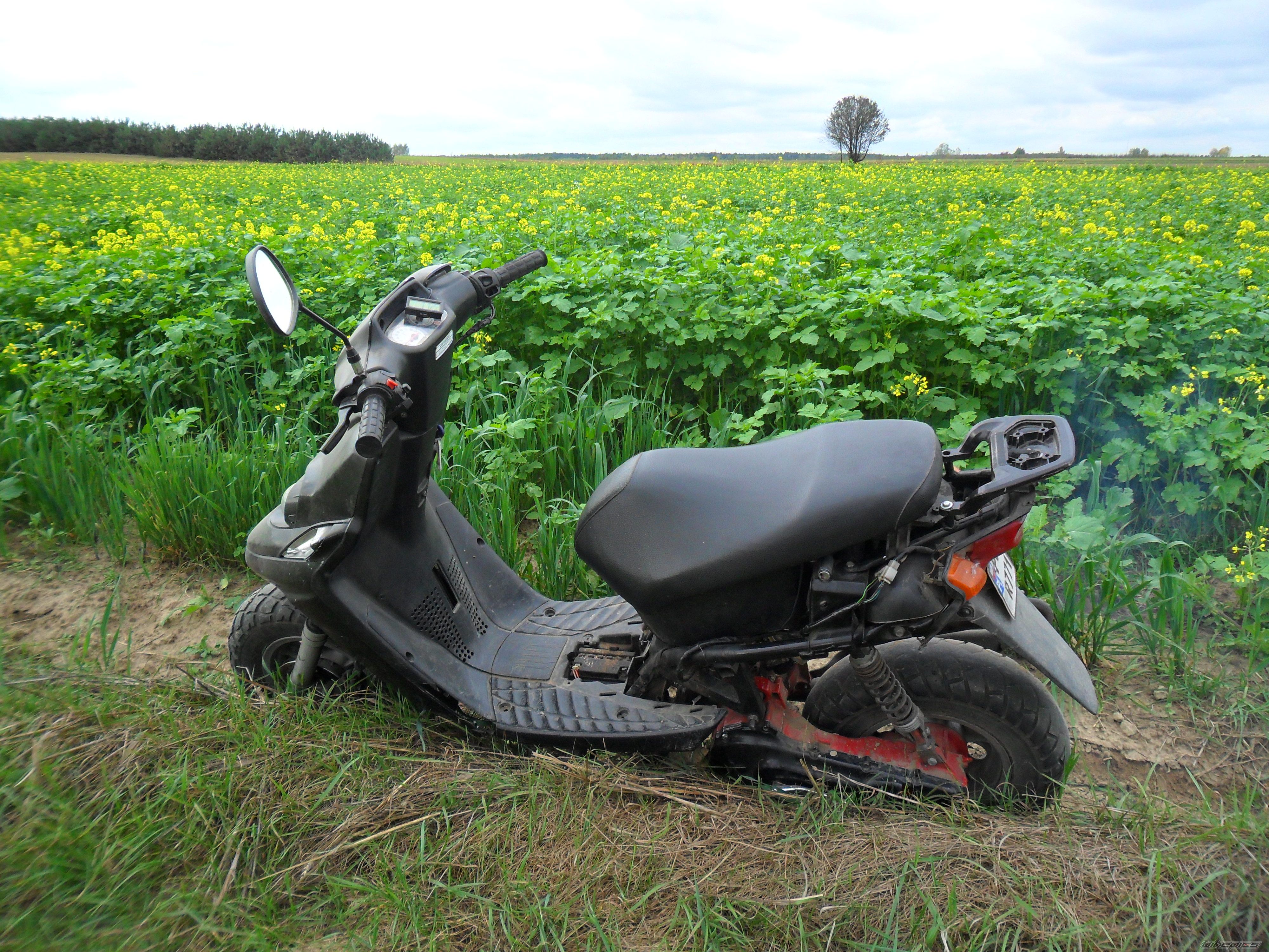 2001 YAMAHA BW 50 | Picture 2467944 motorcycle photo