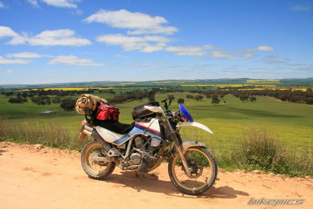 1987 HONDA XL 600V TRANSALP | Picture 2468101 motorcycle photo