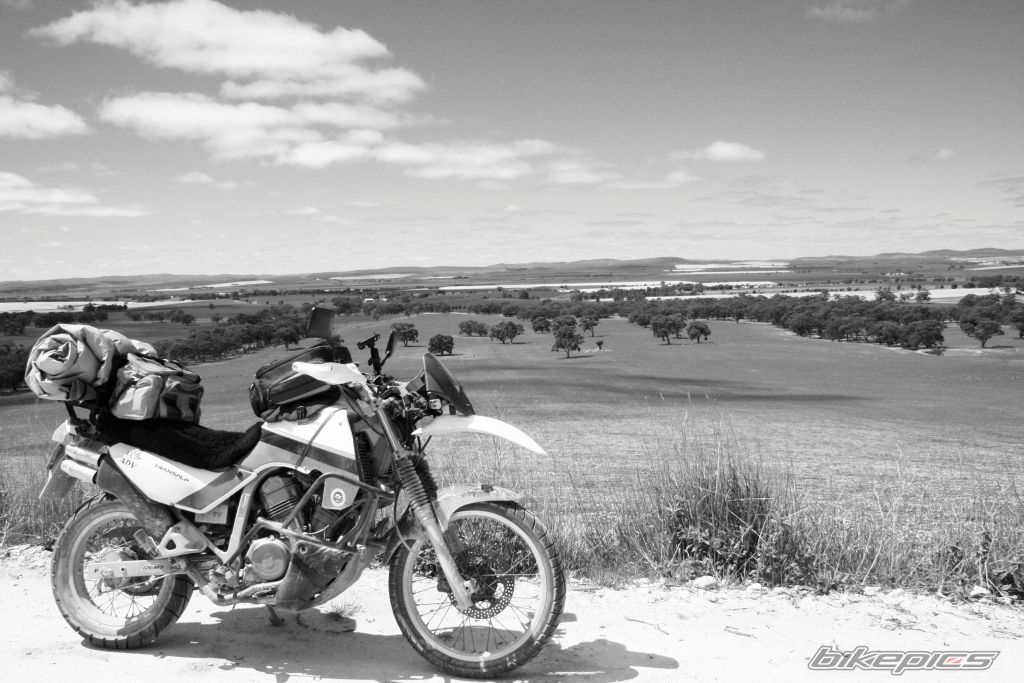 1987 HONDA XL 600V TRANSALP | Picture 2468102 motorcycle photo