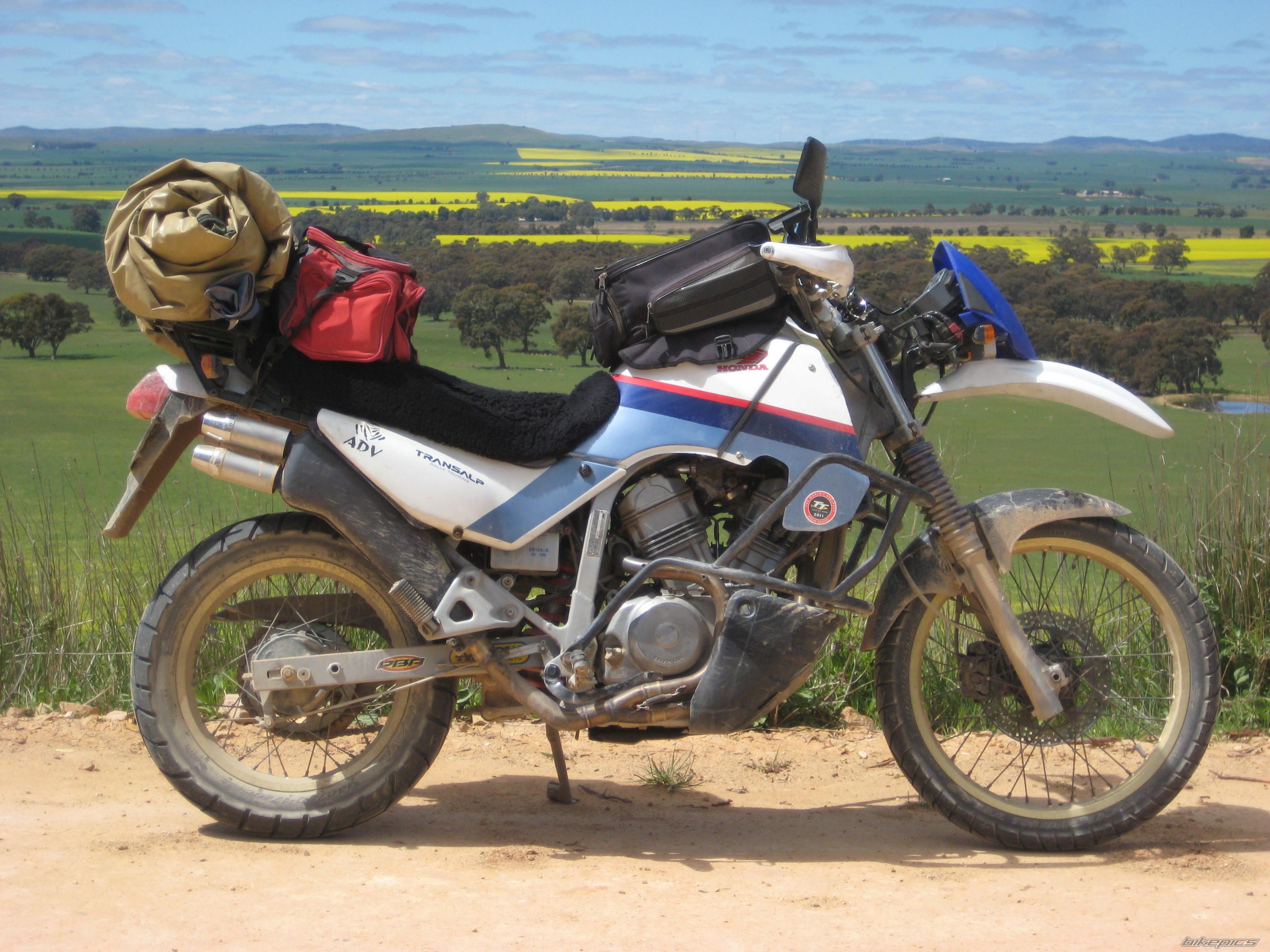 1987 HONDA XL 600V TRANSALP | Picture 2468104 motorcycle photo