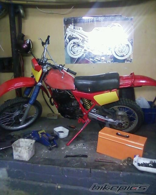 1982 HONDA XR 500 | Picture 2468122 motorcycle photo