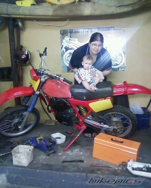 1982 HONDA XR 500 | Picture 2468123 motorcycle photo