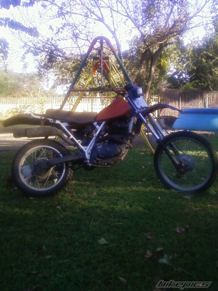 1982 HONDA XR 500 | Picture 2468131 motorcycle photo