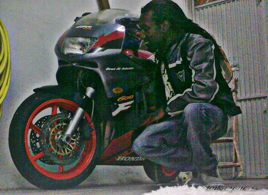 1995 HONDA CBR 600 | Picture 2468506 motorcycle photo