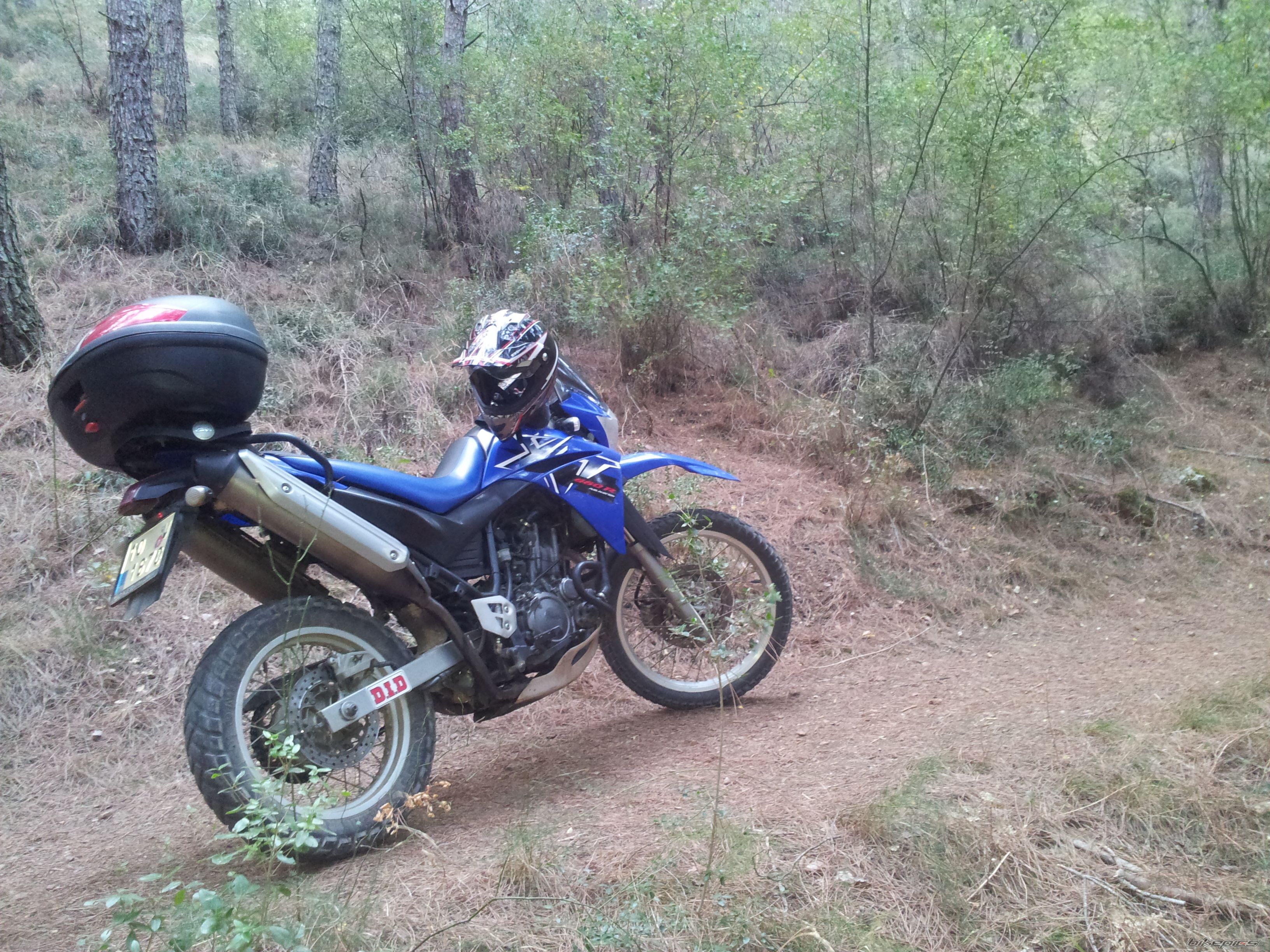 2007 YAMAHA XT660R | Picture 2469183 motorcycle photo