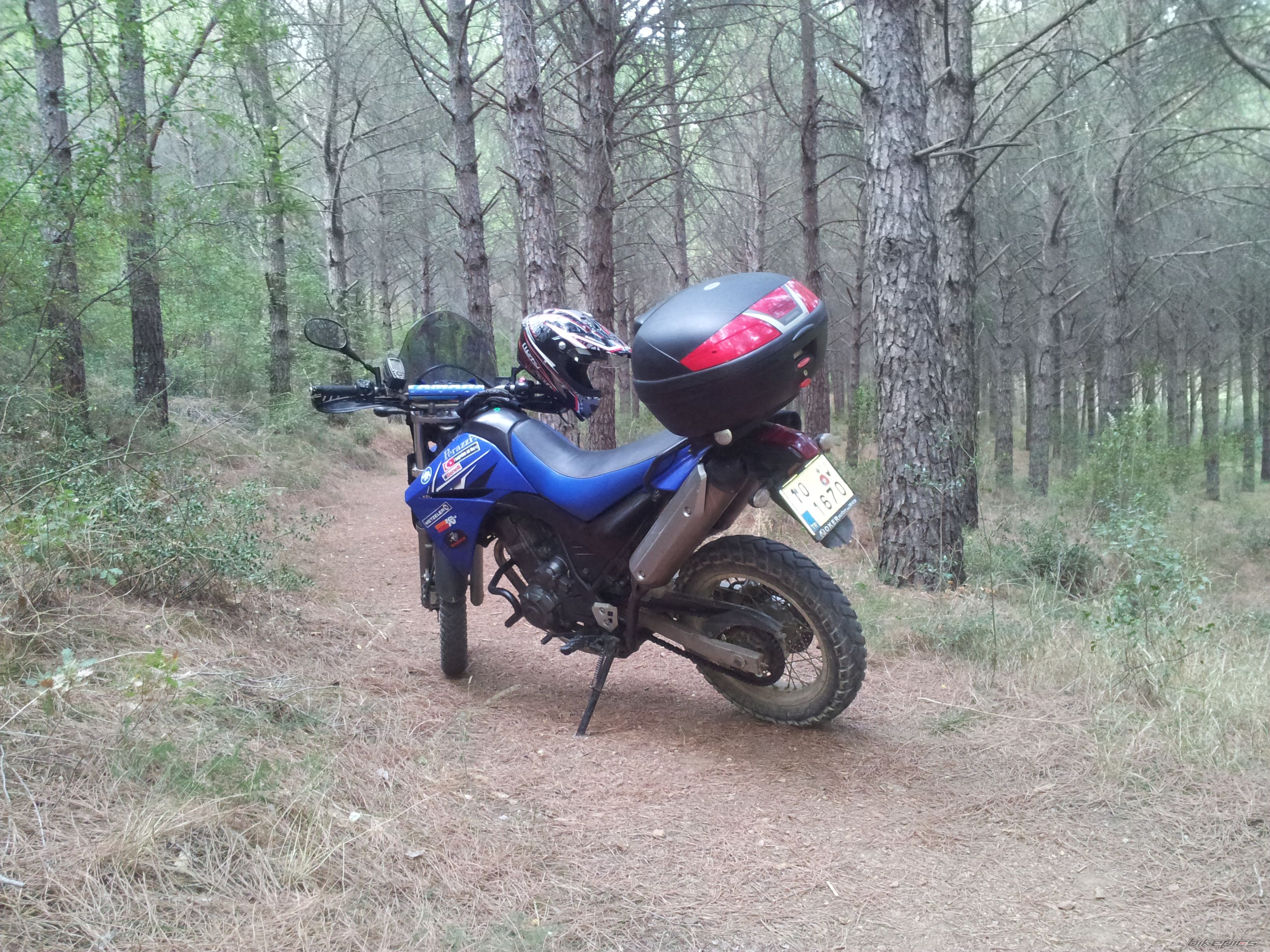 2007 YAMAHA XT660R | Picture 2469184 motorcycle photo