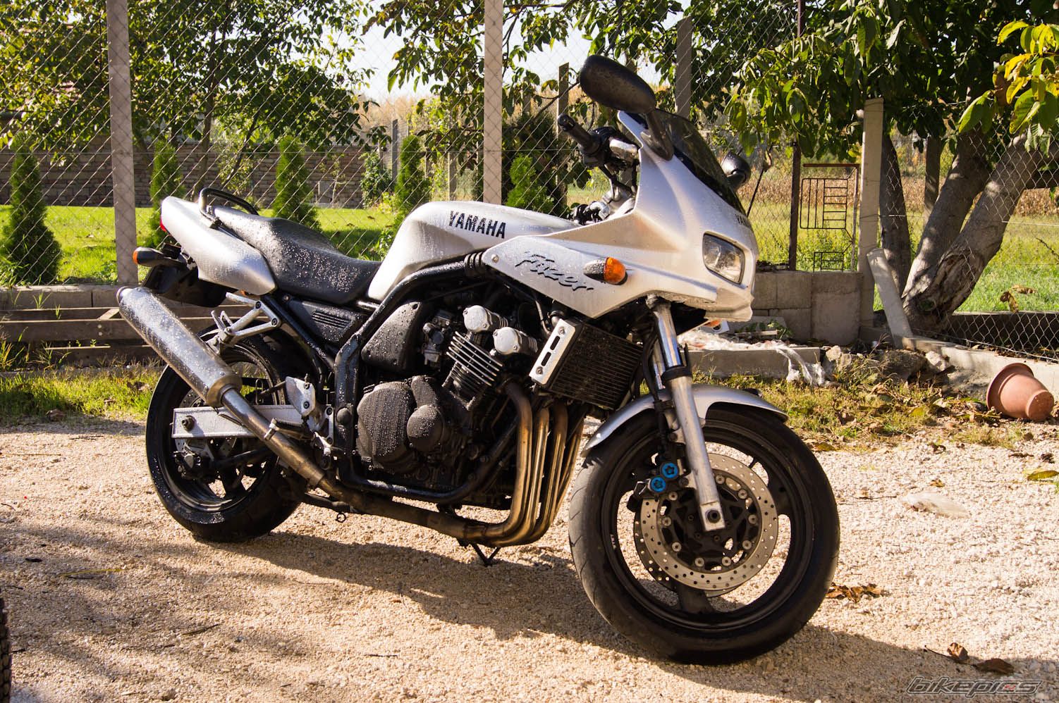 2000 YAMAHA FZS 600 FAZER | Picture 2469311 motorcycle photo