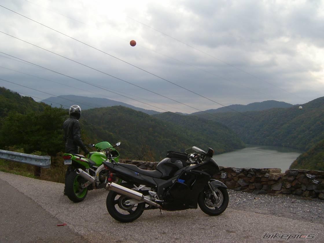 1998 HONDA CBR 1100 BLACKBIRD | Picture 246953 motorcycle photo