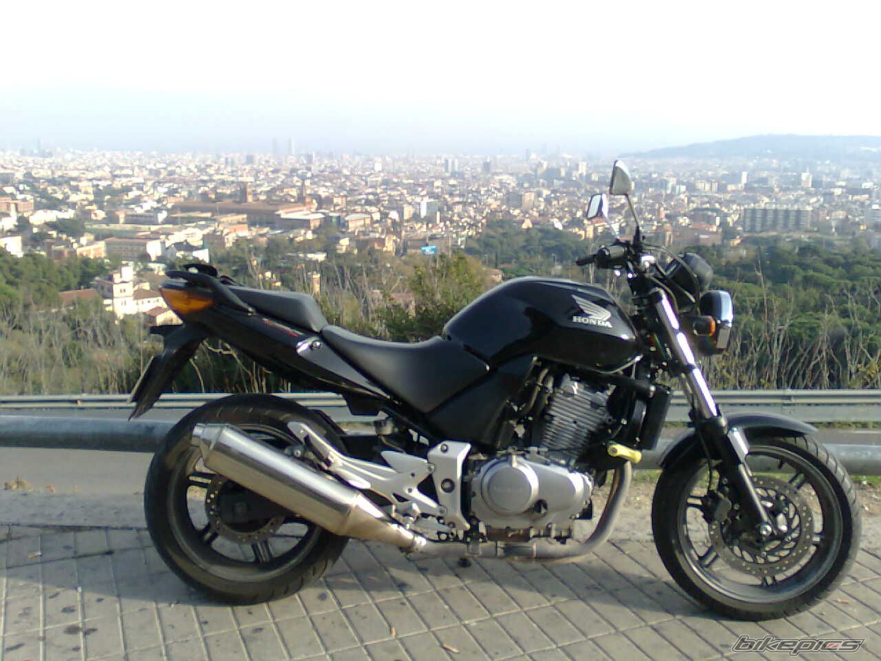 2006 HONDA CBF 500 | Picture 2469982 motorcycle photo