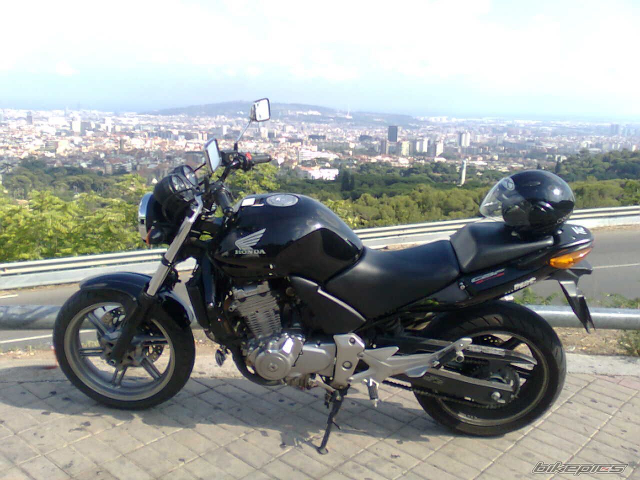 2006 HONDA CBF 500 | Picture 2469987 motorcycle photo
