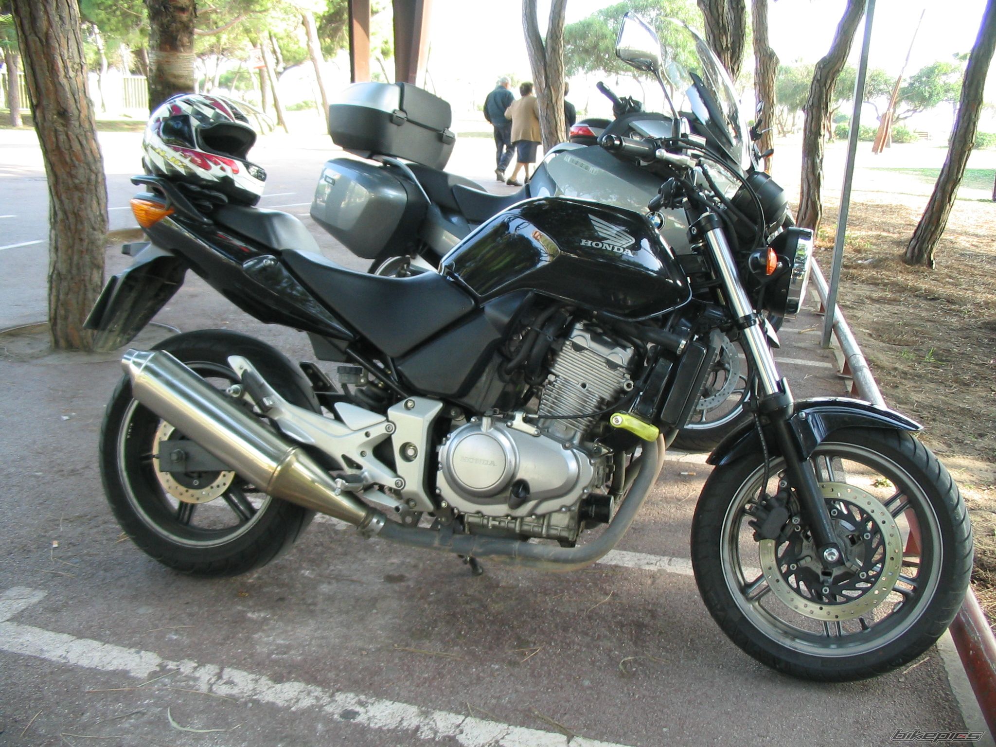 2006 HONDA CBF 500 | Picture 2469990 motorcycle photo