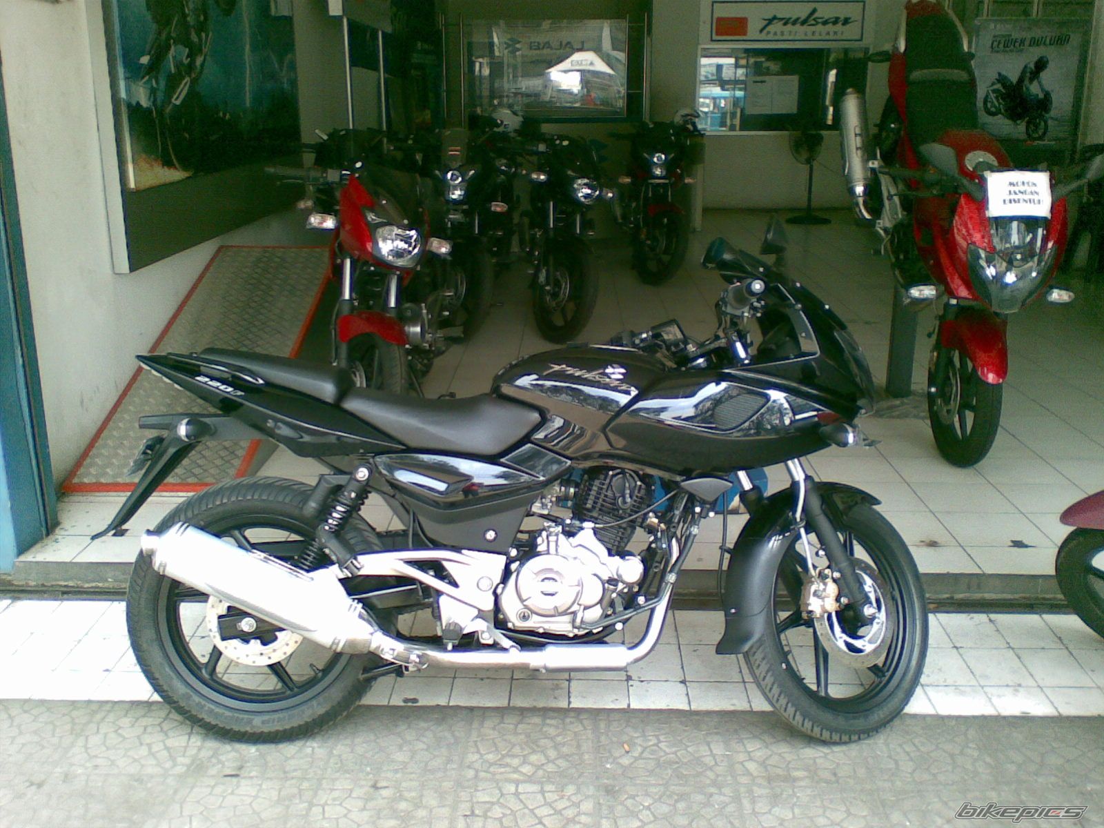 2012 BAJAJ PULSAR 220F | Picture 2470095 motorcycle photo