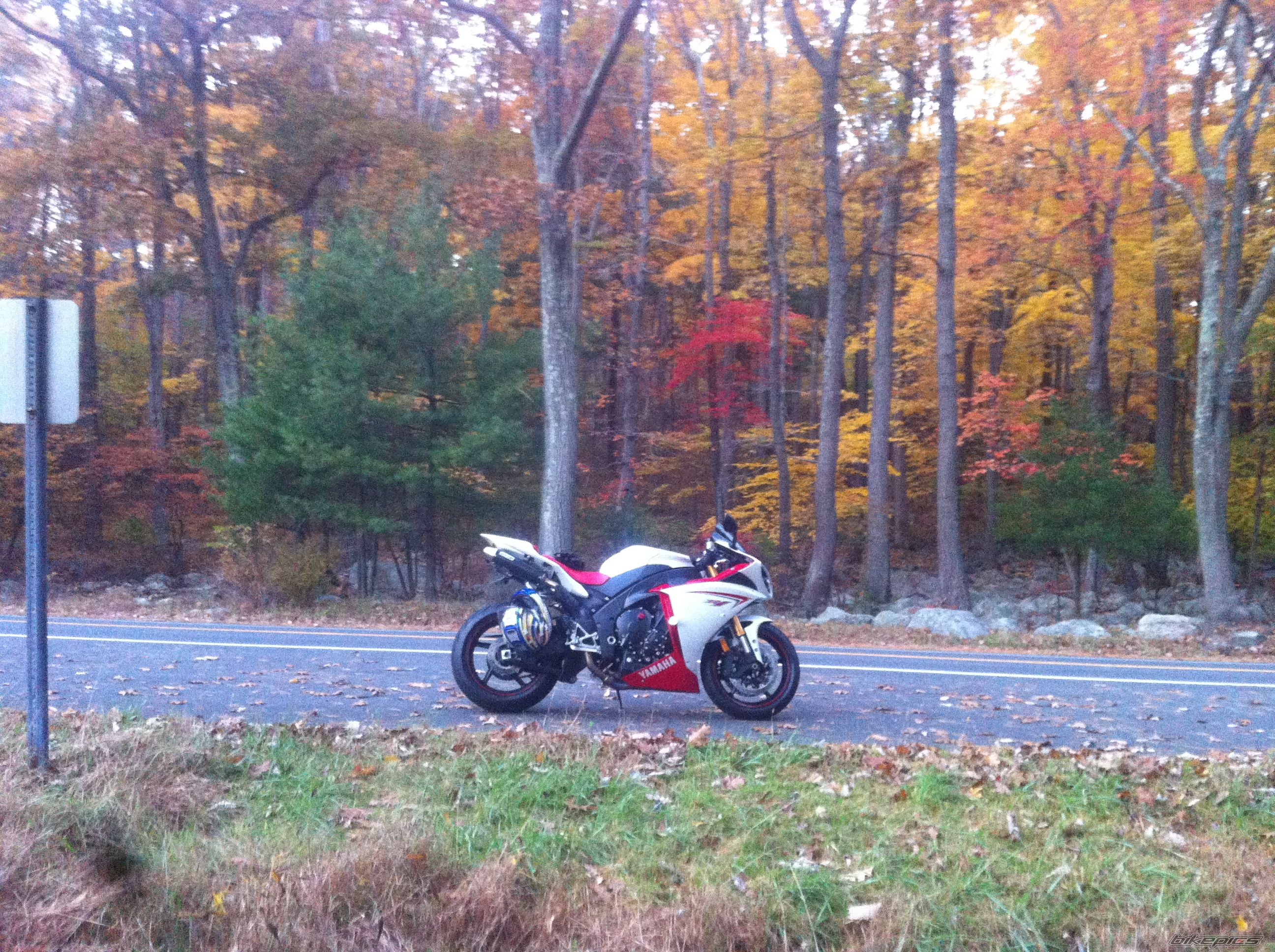 2009 YAMAHA YZF R1 | Picture 2470295 motorcycle photo
