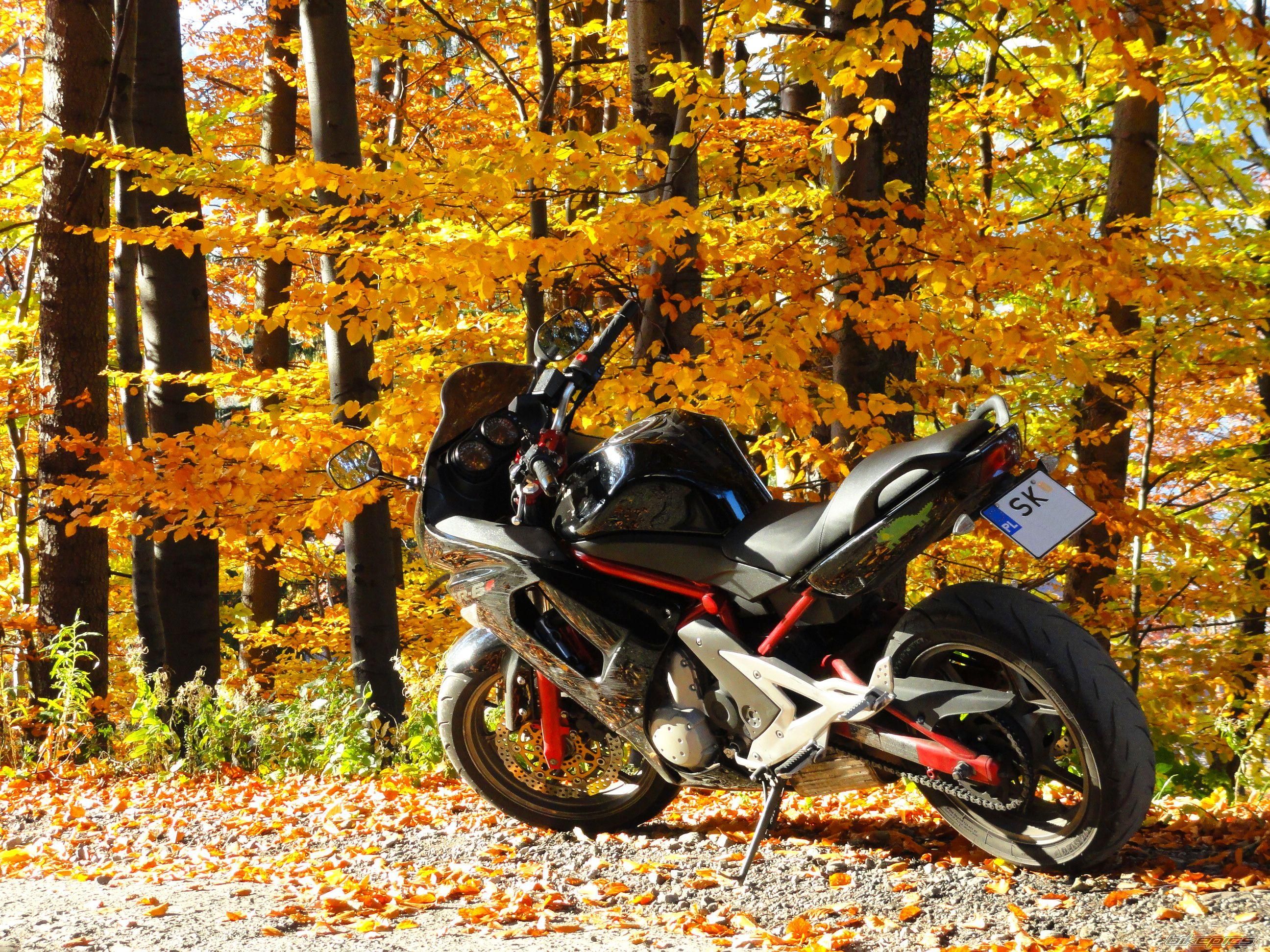 2007 KAWASAKI ER 6F | Picture 2470921 motorcycle photo
