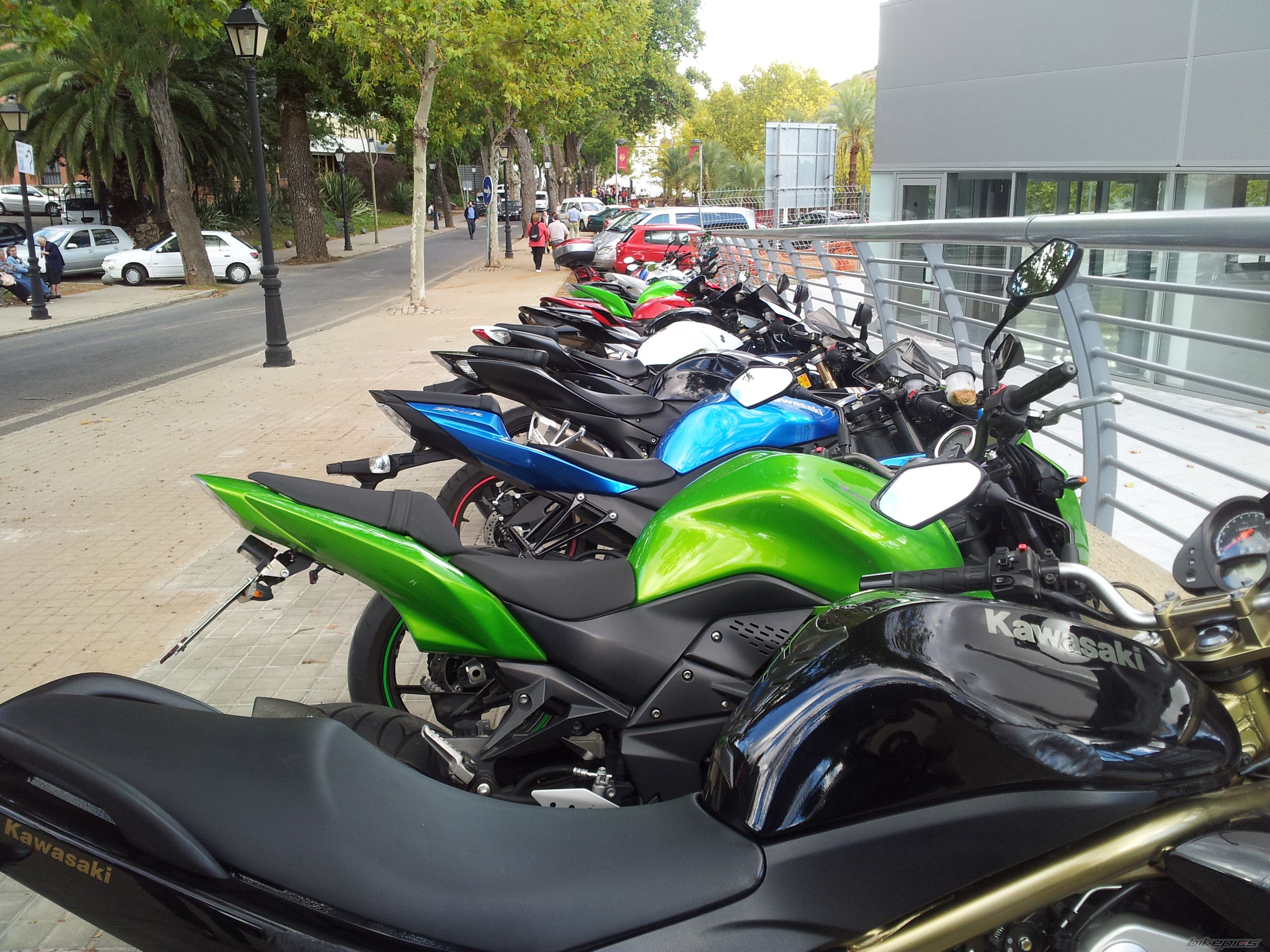 2007 KAWASAKI Z 1000 | Picture 2471062 motorcycle photo