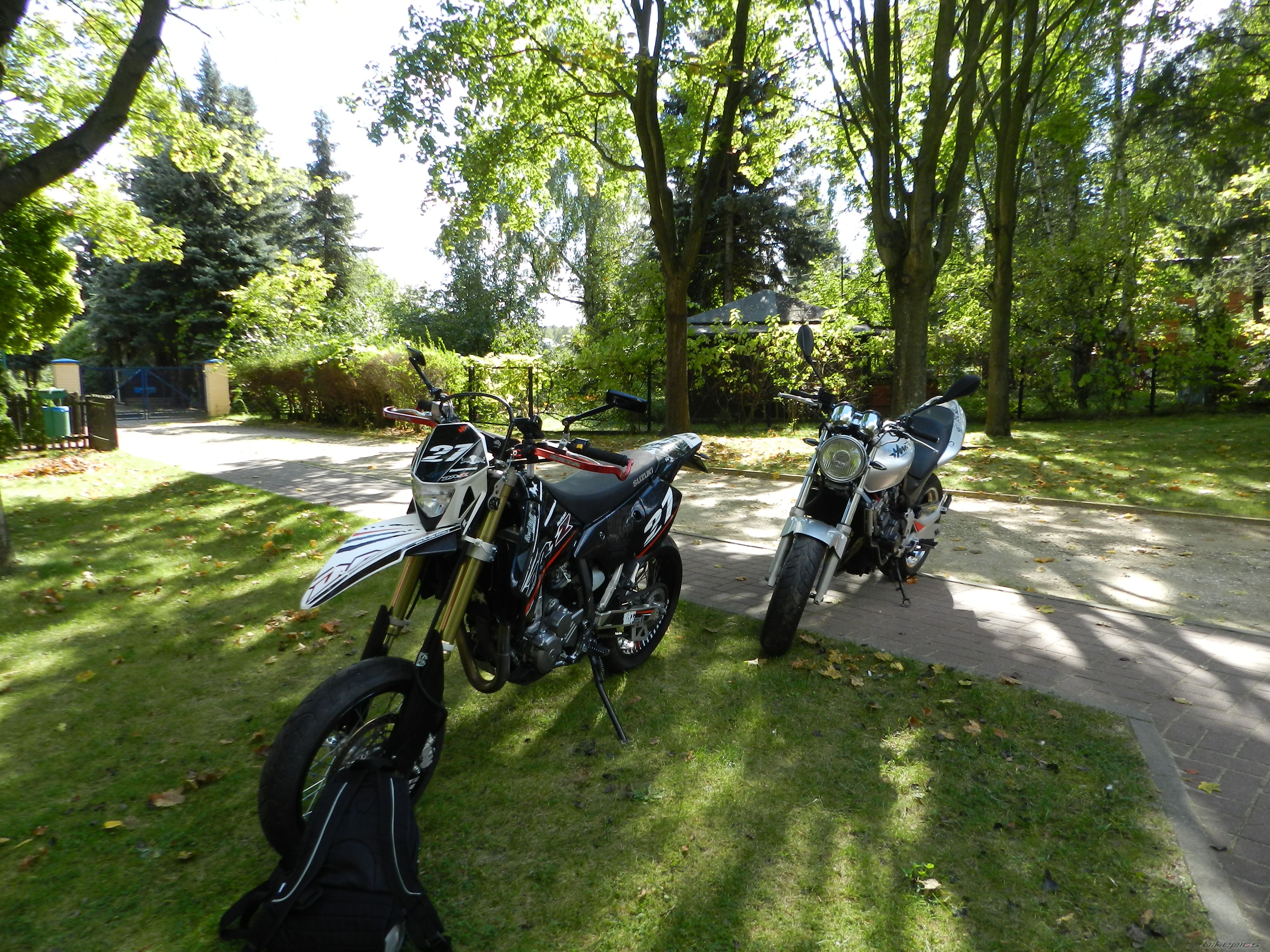 1997 HONDA HONDA 250CC | Picture 2471120 motorcycle photo