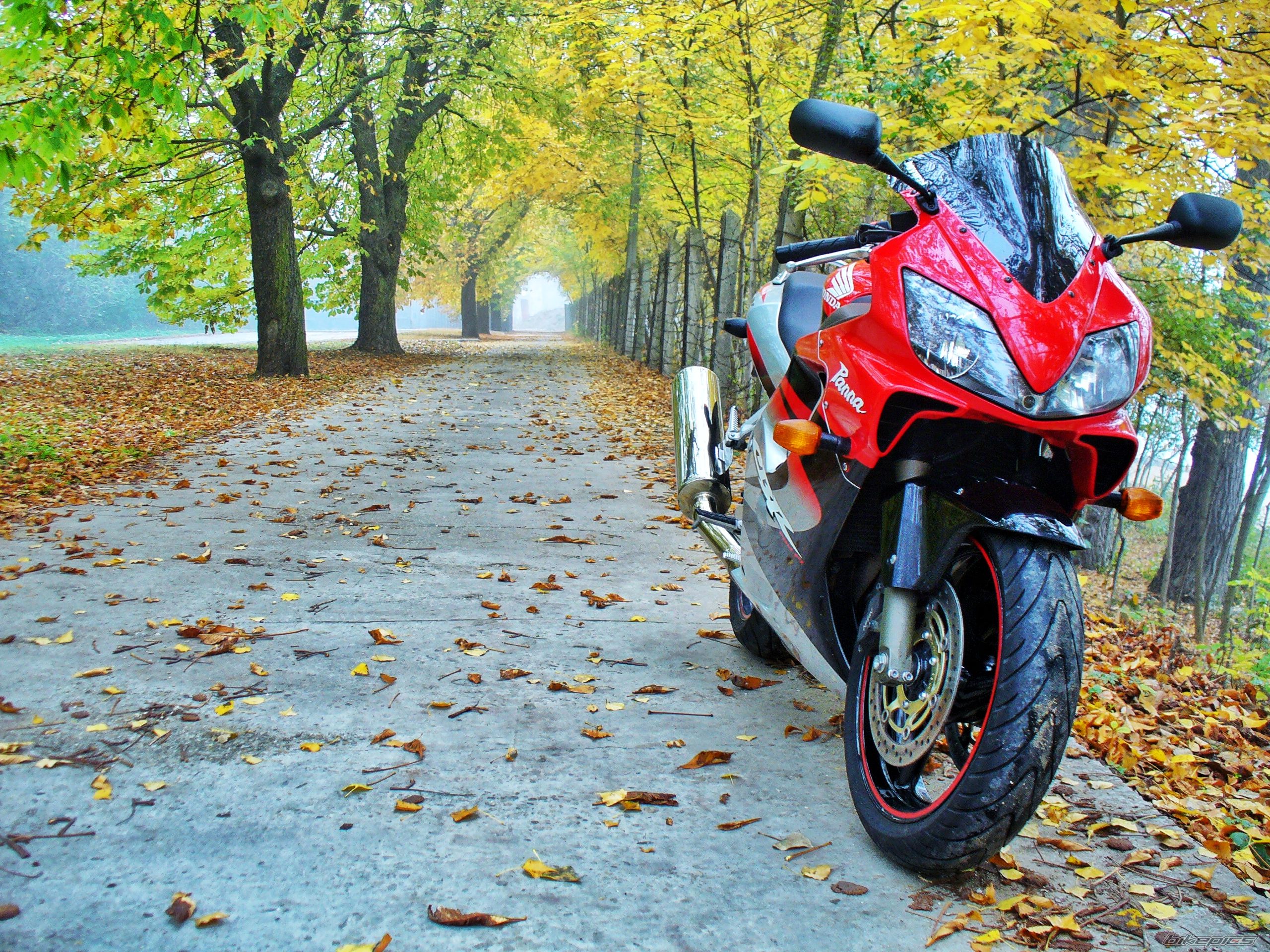 2004 HONDA CBR 600 F4I | Picture 2471467 motorcycle photo