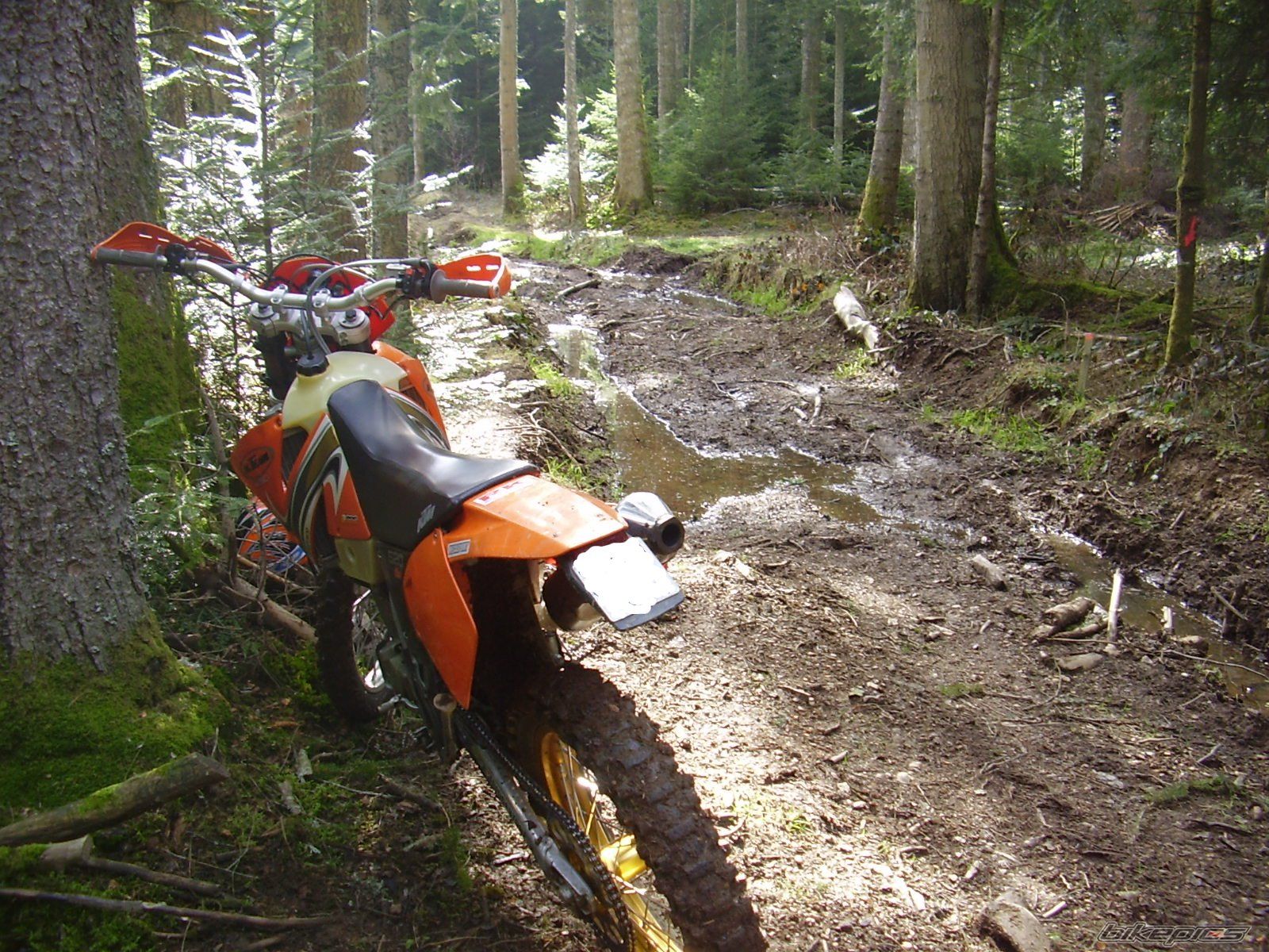 2002 KTM 520 EXC | Picture 2472224 motorcycle photo