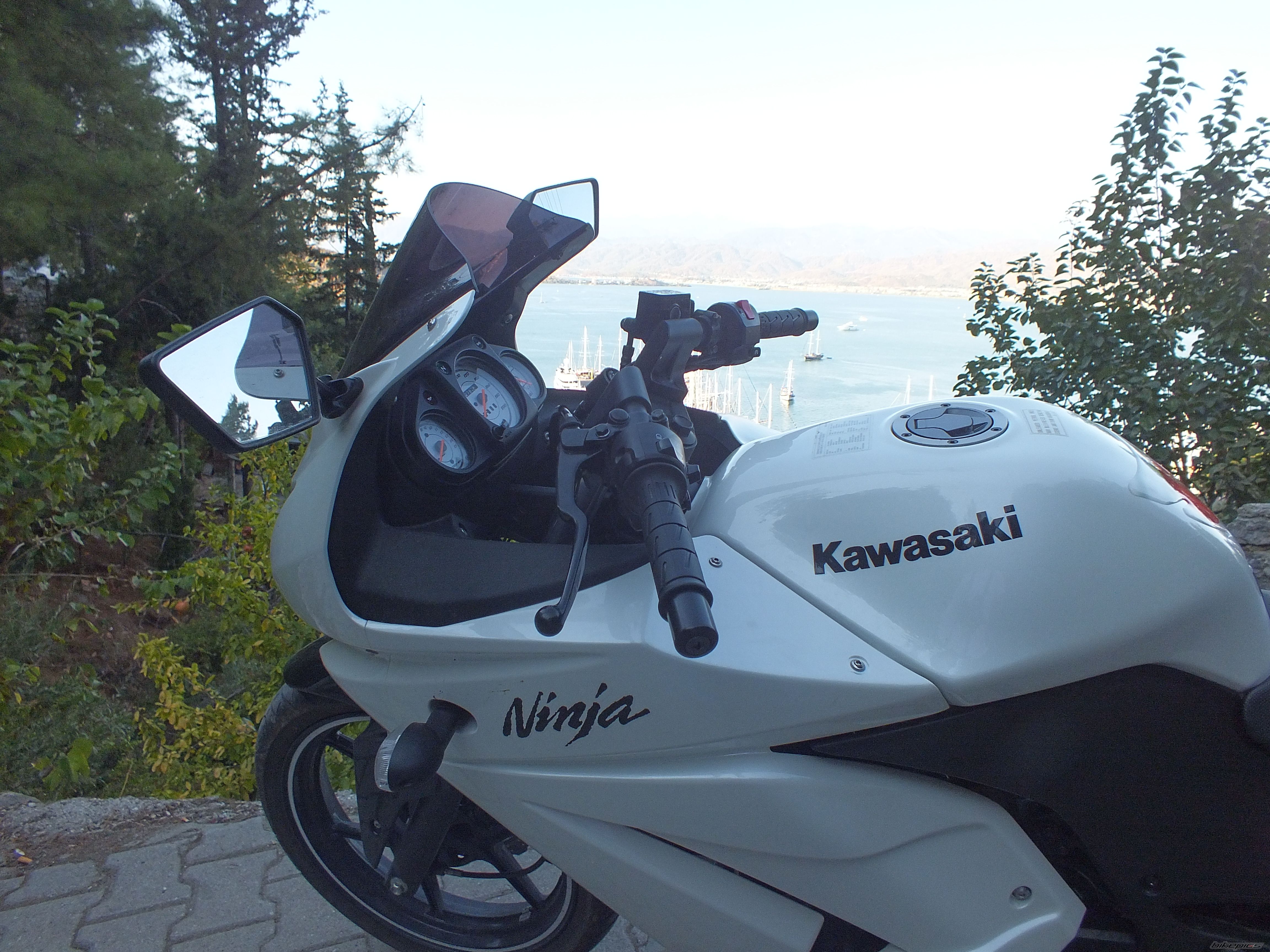 2011 KAWASAKI NINJA 250R | Picture 2473678 motorcycle photo