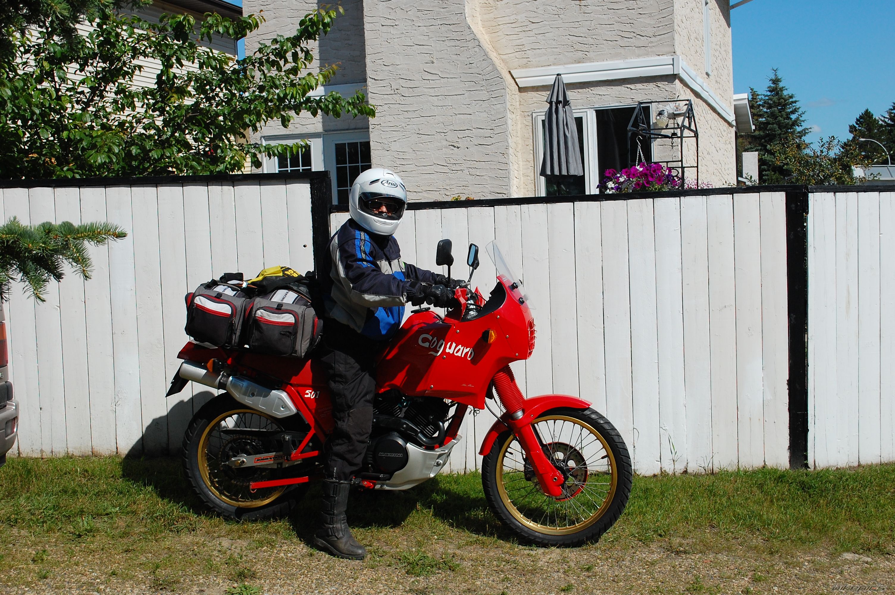 1988 MOTO MORINI COGUARO 350 | Picture 2473726 motorcycle photo