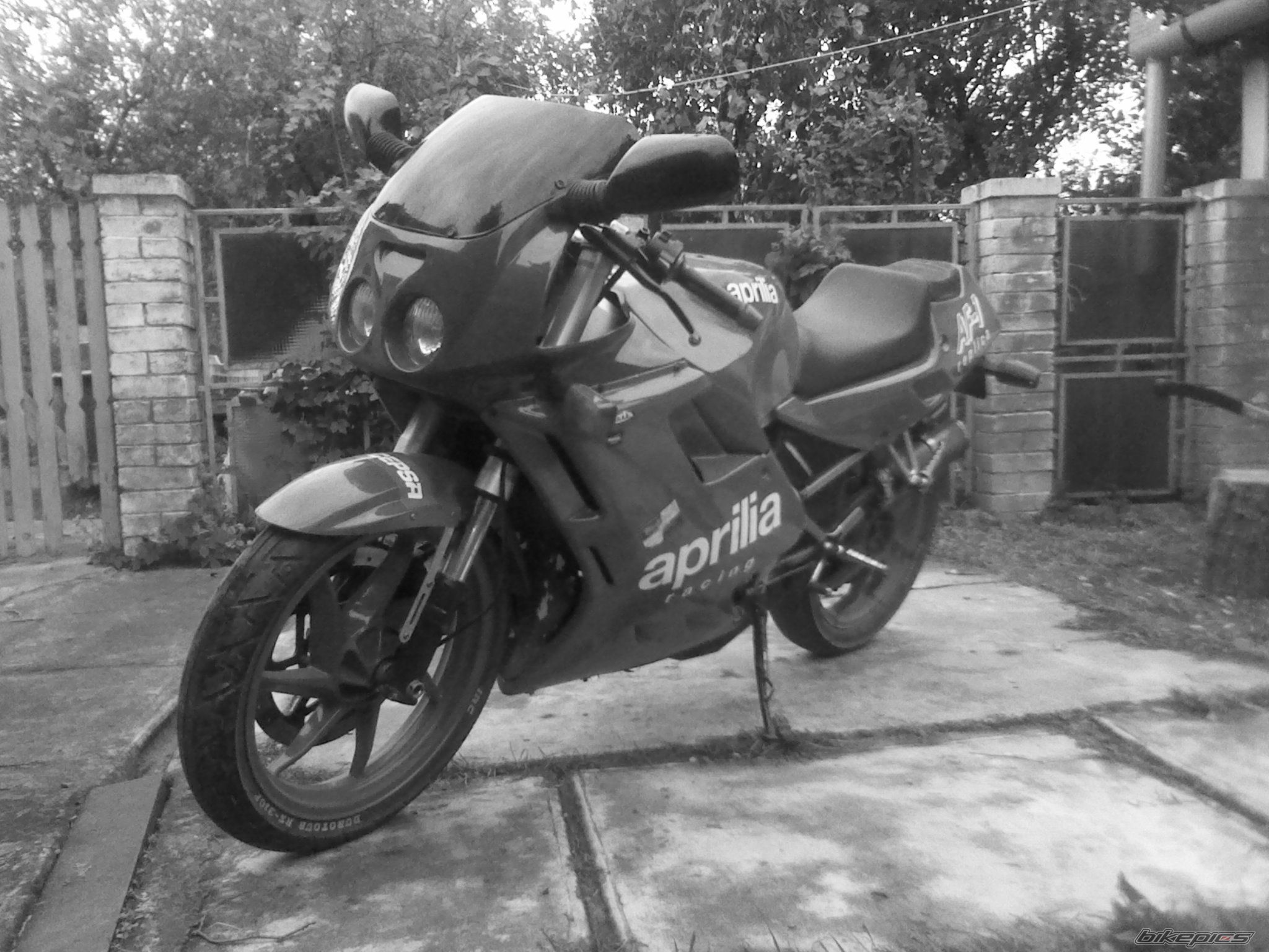 1990 APRILIA AF1 REPLICA 125 | Picture 2474631 motorcycle photo