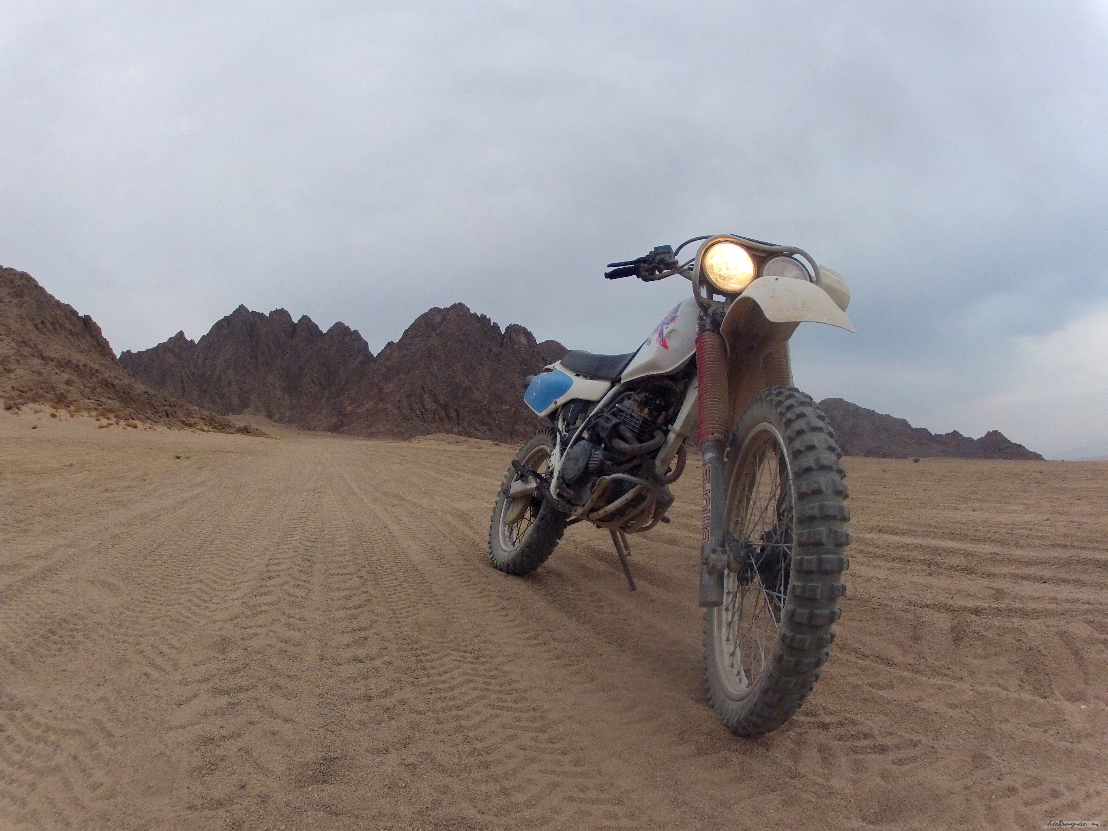 1995 HONDA XLR 250 | Picture 2474928 motorcycle photo