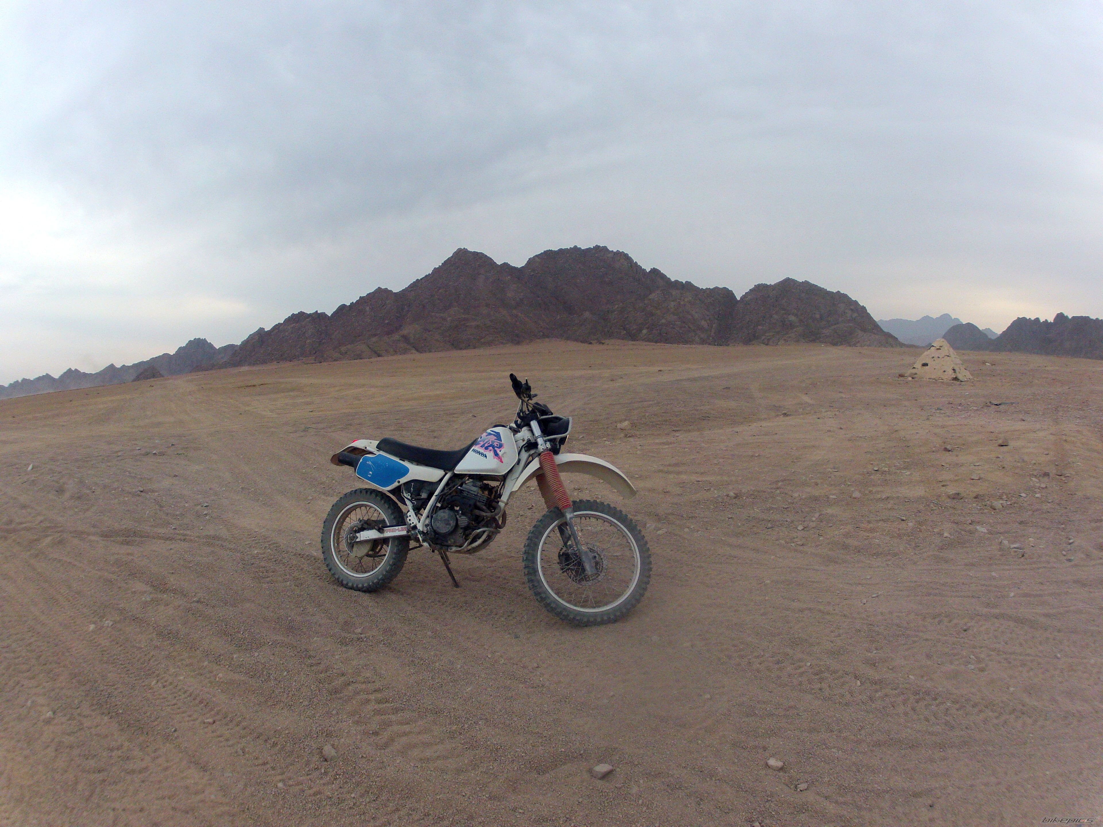 1995 HONDA XLR 250 | Picture 2474929 motorcycle photo