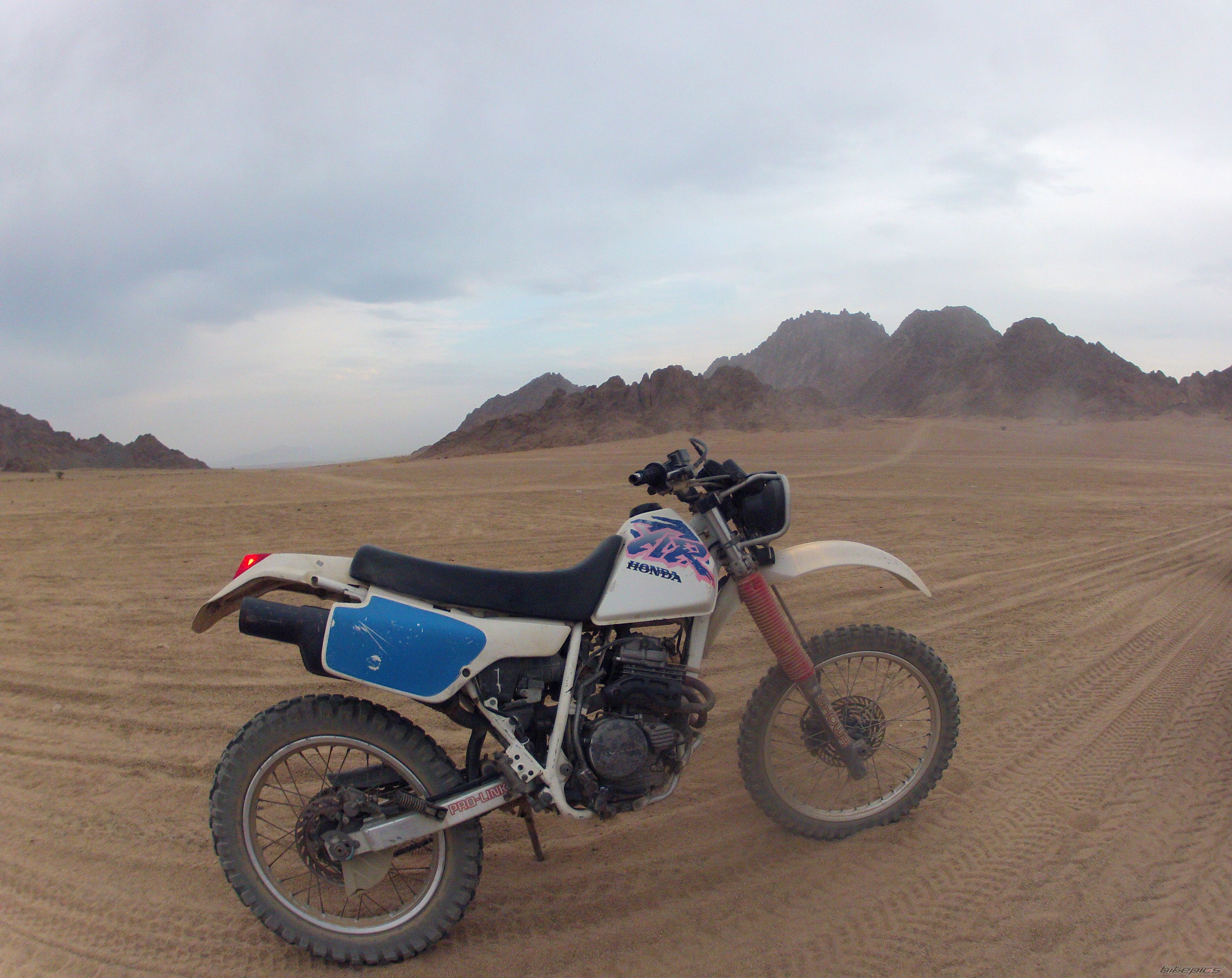 1995 HONDA XLR 250 | Picture 2474933 motorcycle photo