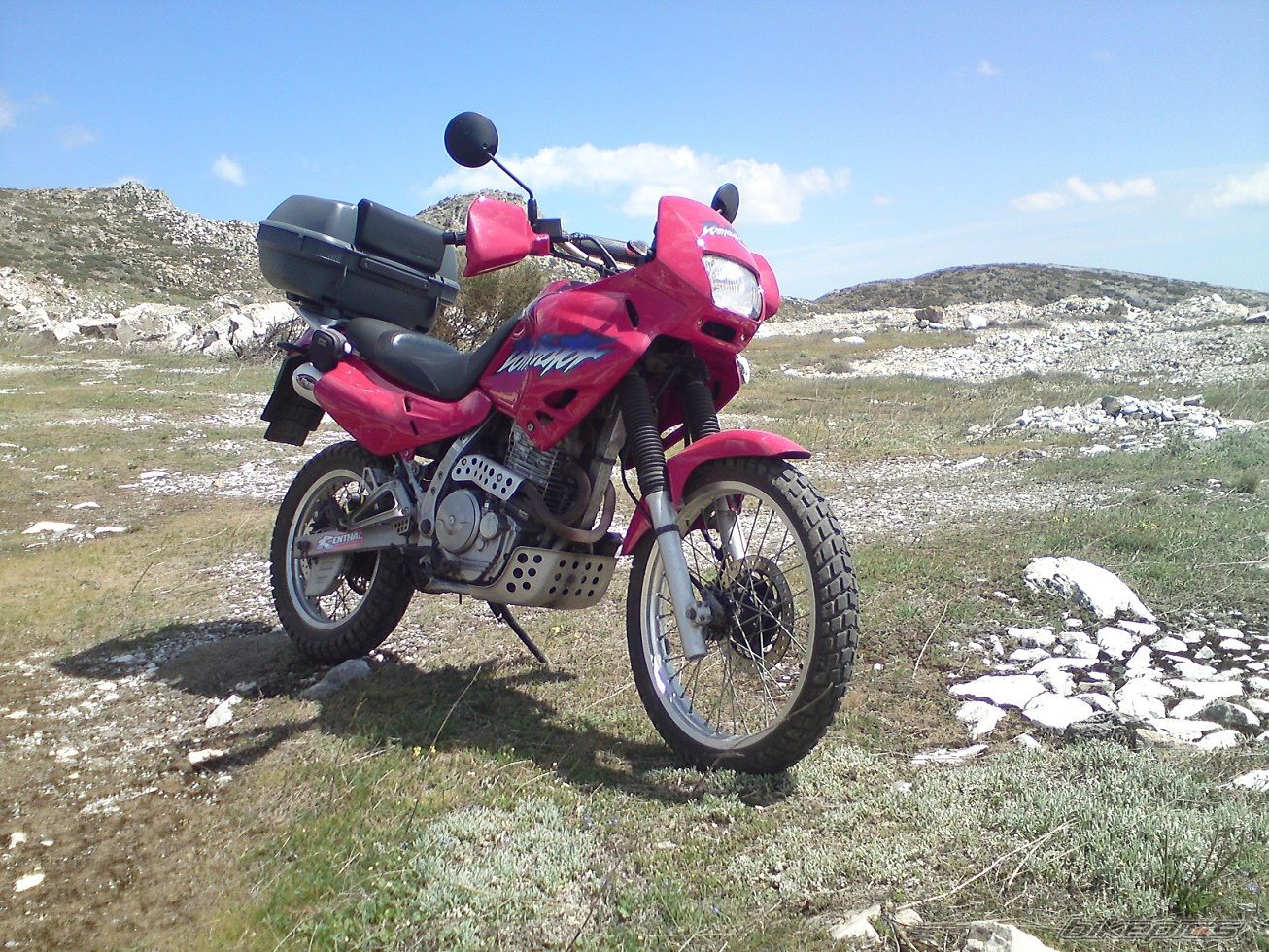 1999 HONDA NX 650 DOMINATOR | Picture 2475894 motorcycle photo