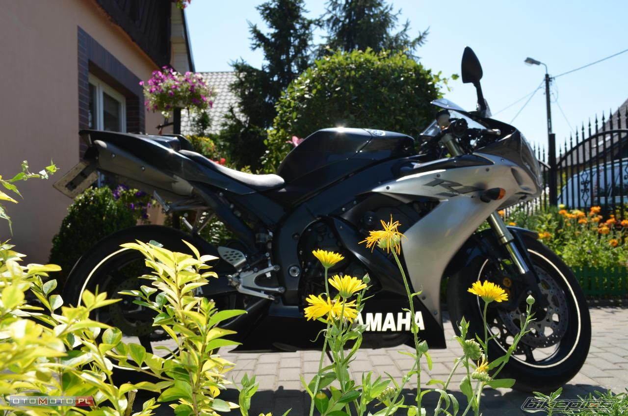 2004 YAMAHA YZF R1 | Picture 2476116 motorcycle photo