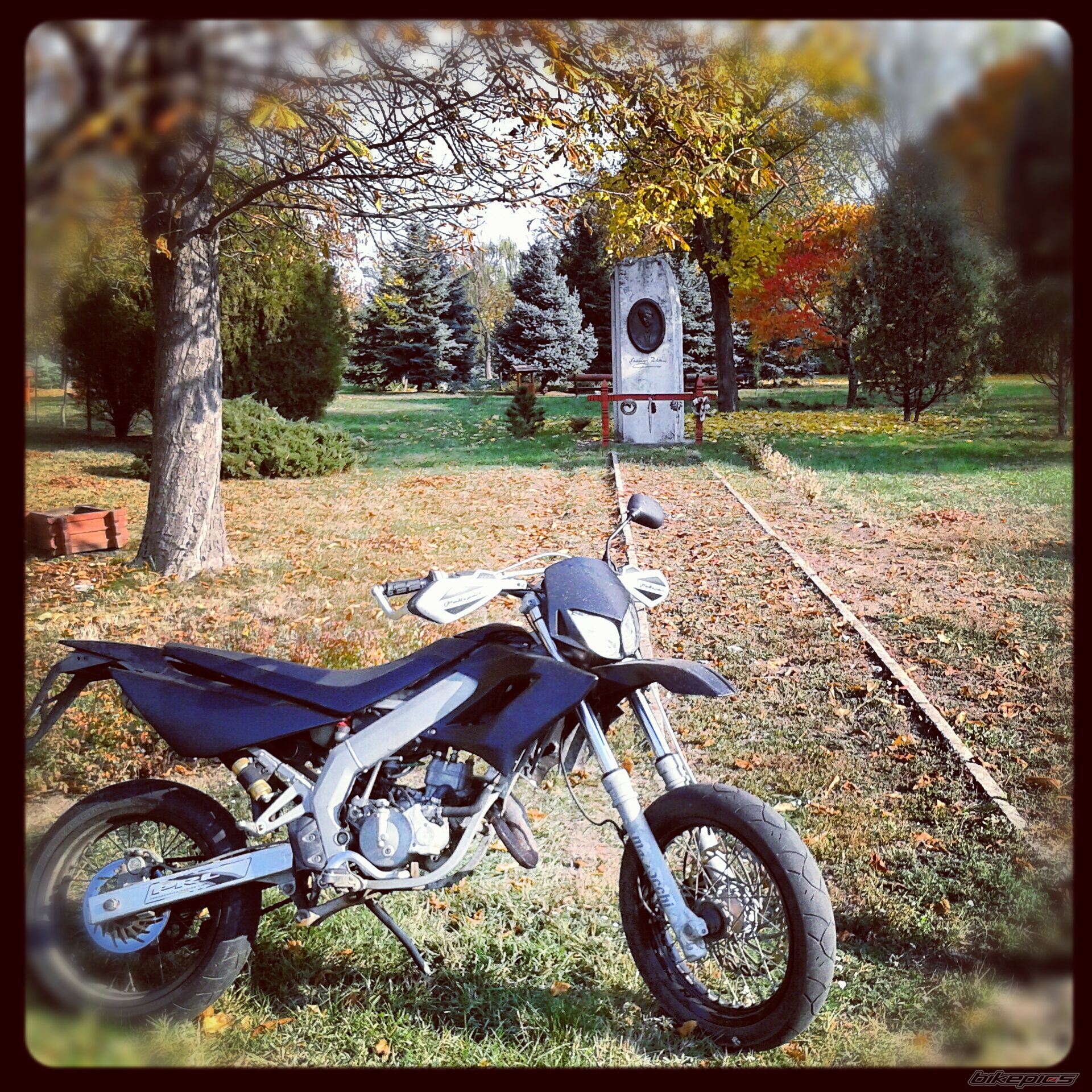 2006 DERBI SENDA DRD RACING R | Picture 2477069 motorcycle photo