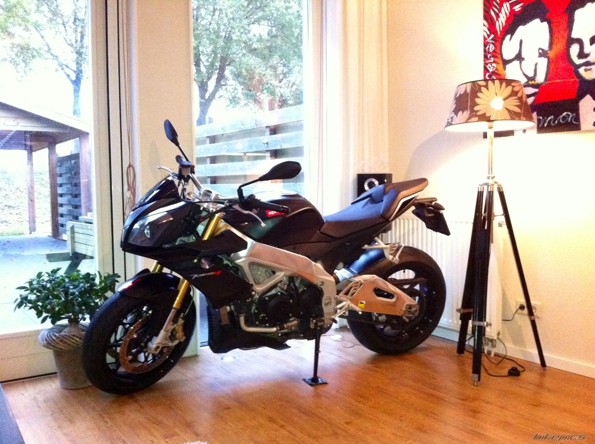 2011 APRILIA TUONO V4R APRC | Picture 2477917 motorcycle photo