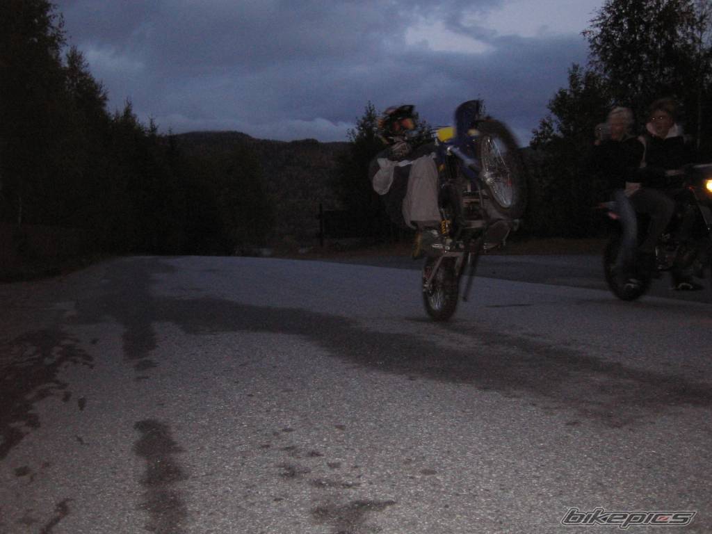 2003 RIEJU MX 50 | Picture 247795 motorcycle photo