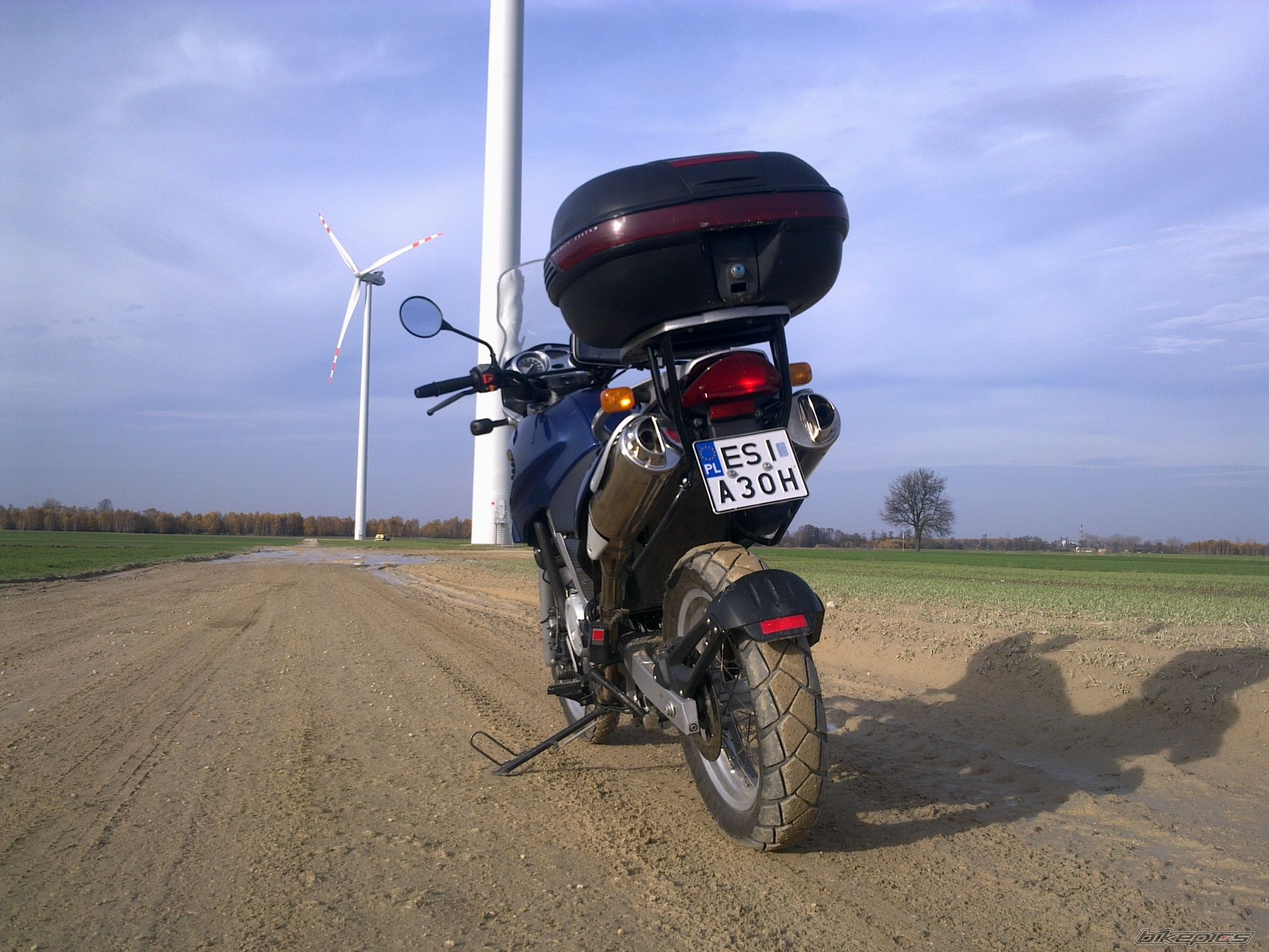 2003 BMW F 650 GS | Picture 2478116 motorcycle photo