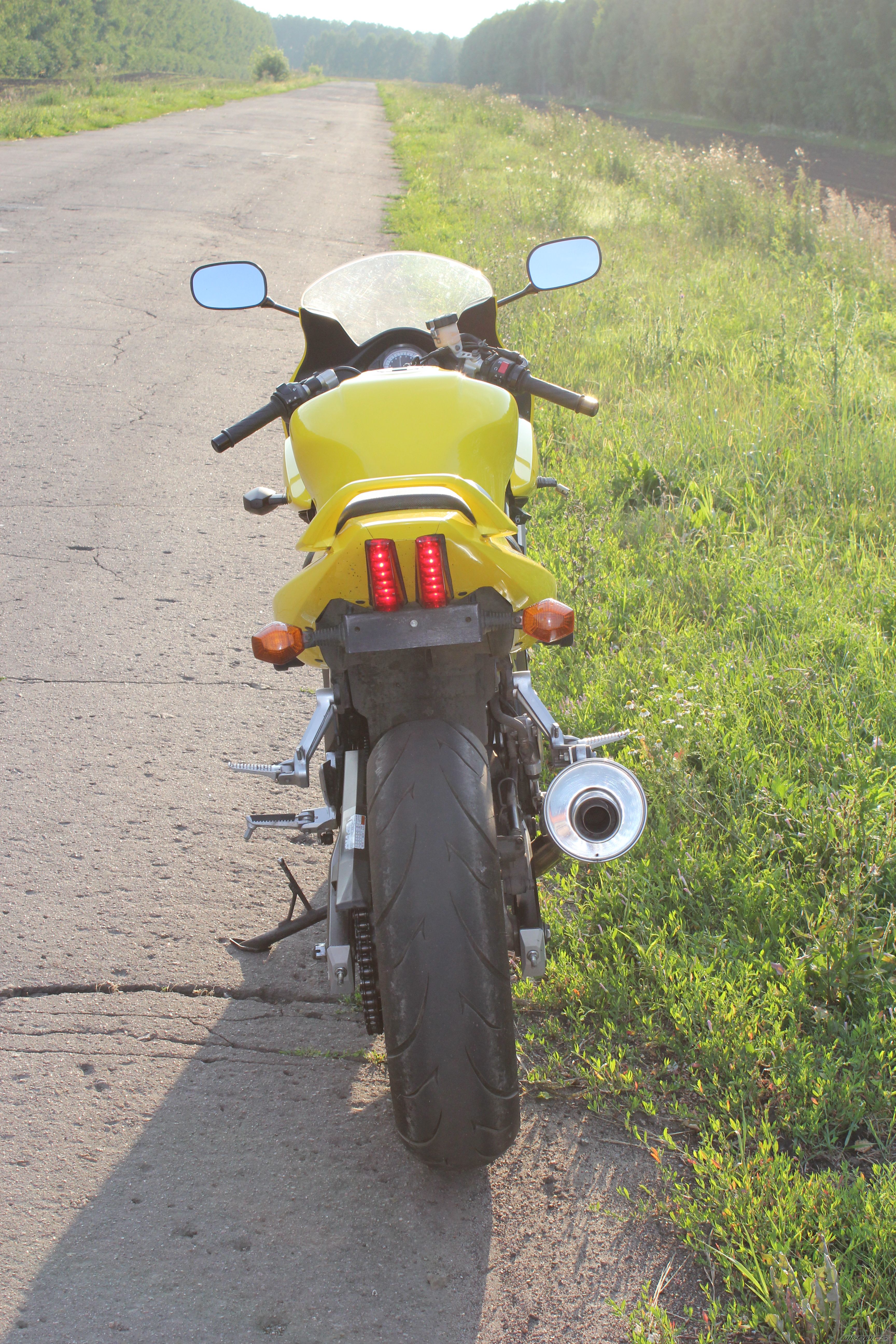 2005 SUZUKI SV 650S | Picture 2478181 motorcycle photo