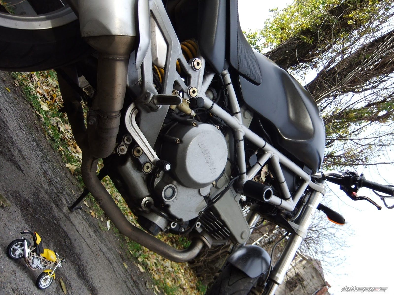 2002 DUCATI MONSTER 620 | Picture 2478281 motorcycle photo