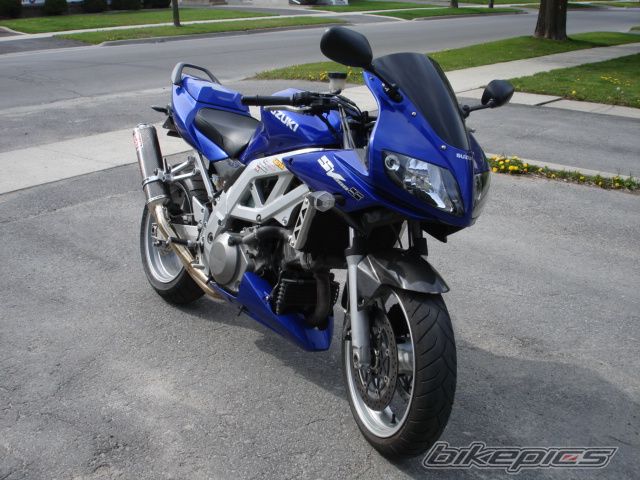 2003 SUZUKI SV 1000 S | Picture 2478346 motorcycle photo
