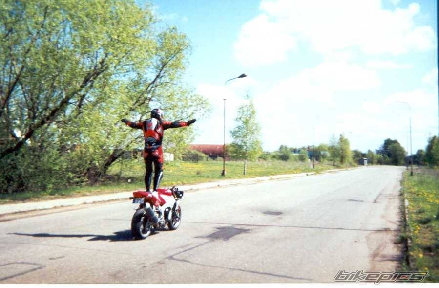 2000 YAMAHA YZF R1 | Picture 24784 motorcycle photo