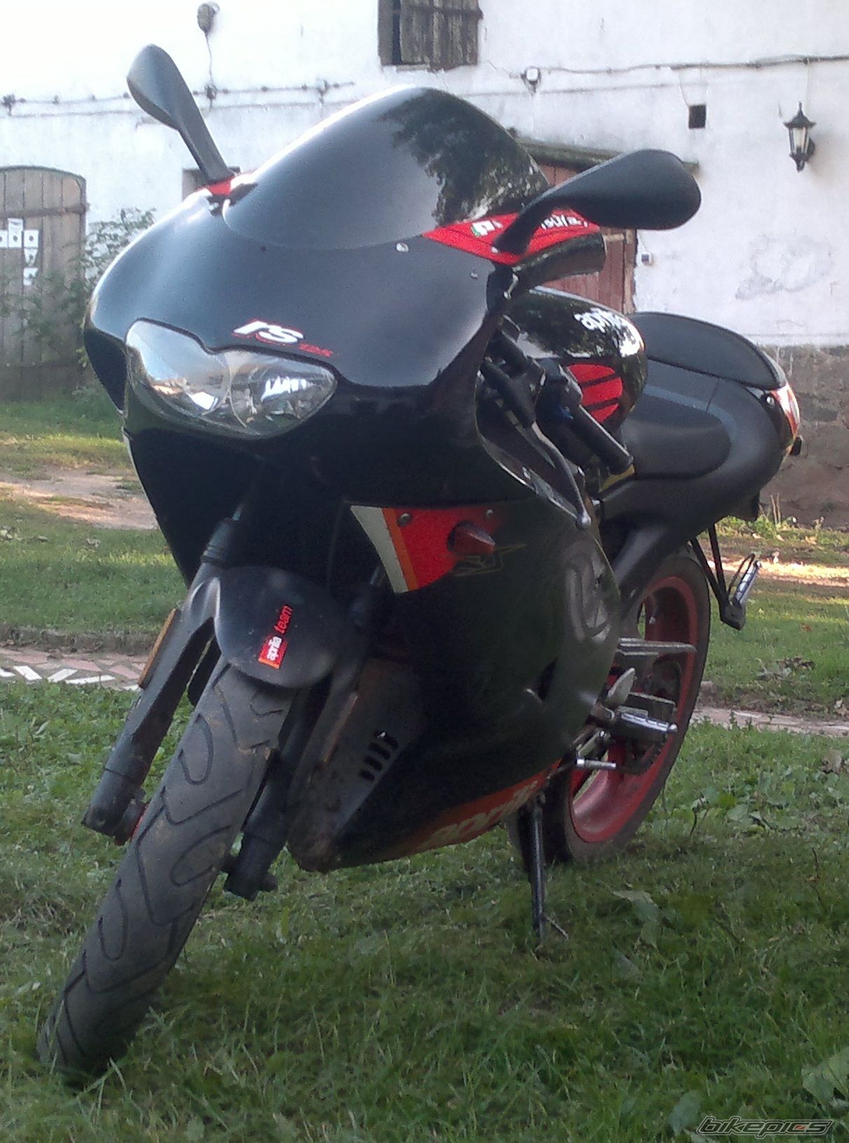 2005 APRILIA RS 50 | Picture 2478591 motorcycle photo