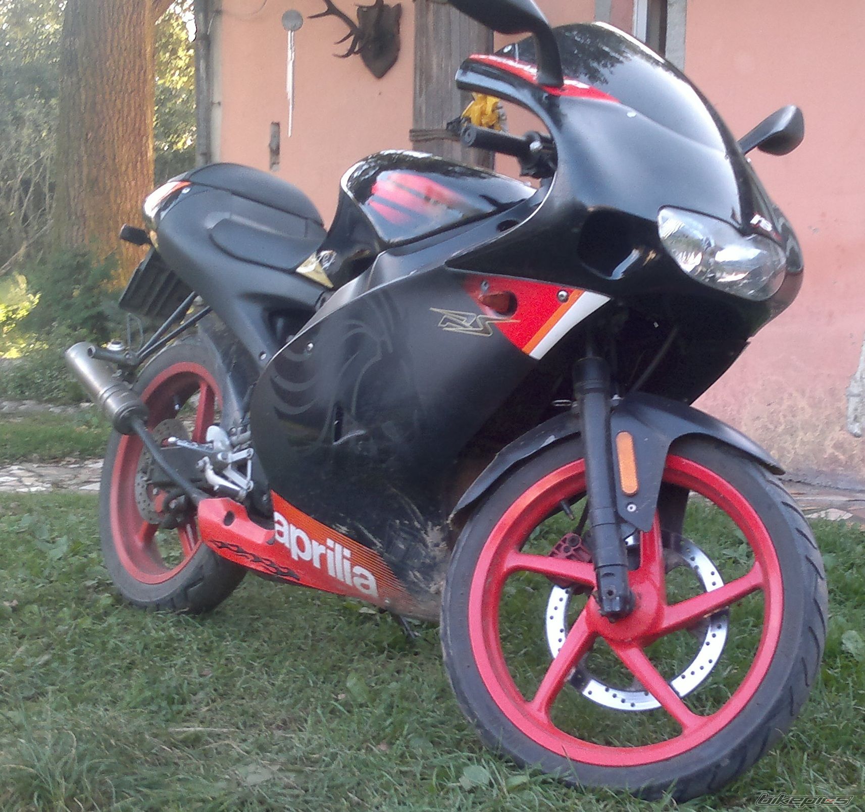 2005 APRILIA RS 50 | Picture 2478594 motorcycle photo