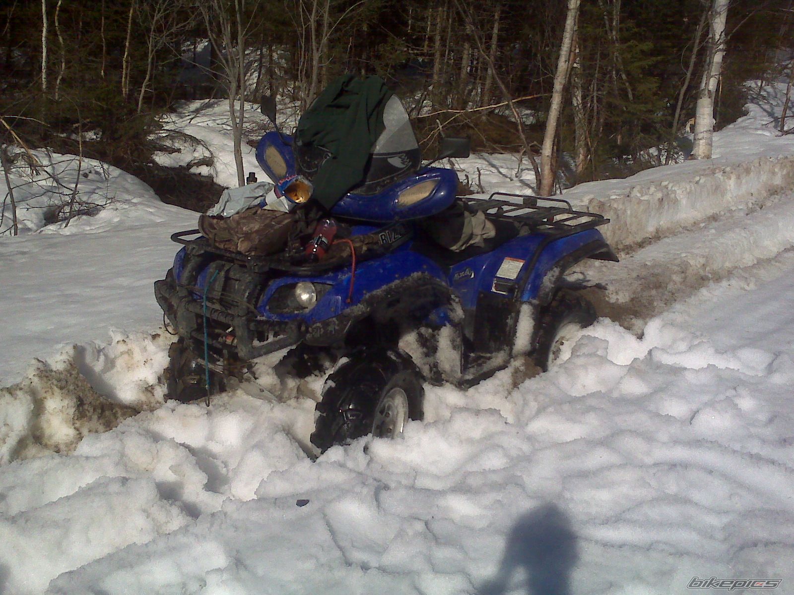 2003 YAMAHA GRIZZLY | Picture 2478938 motorcycle photo