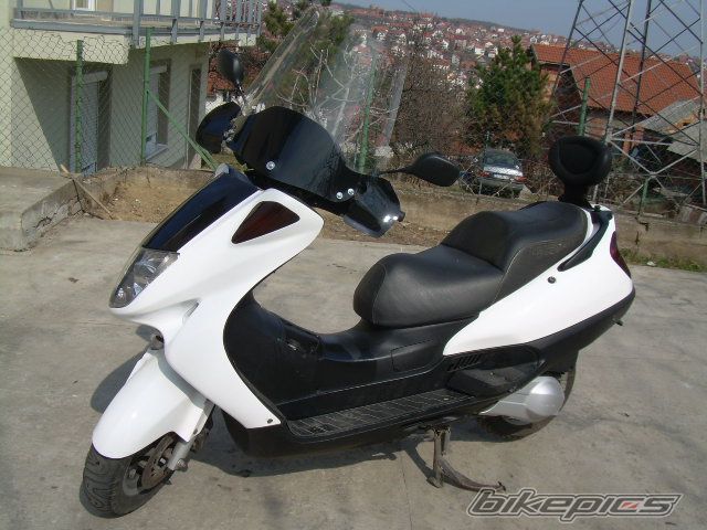 1999 HONDA PANTHEON | Picture 2478994 motorcycle photo