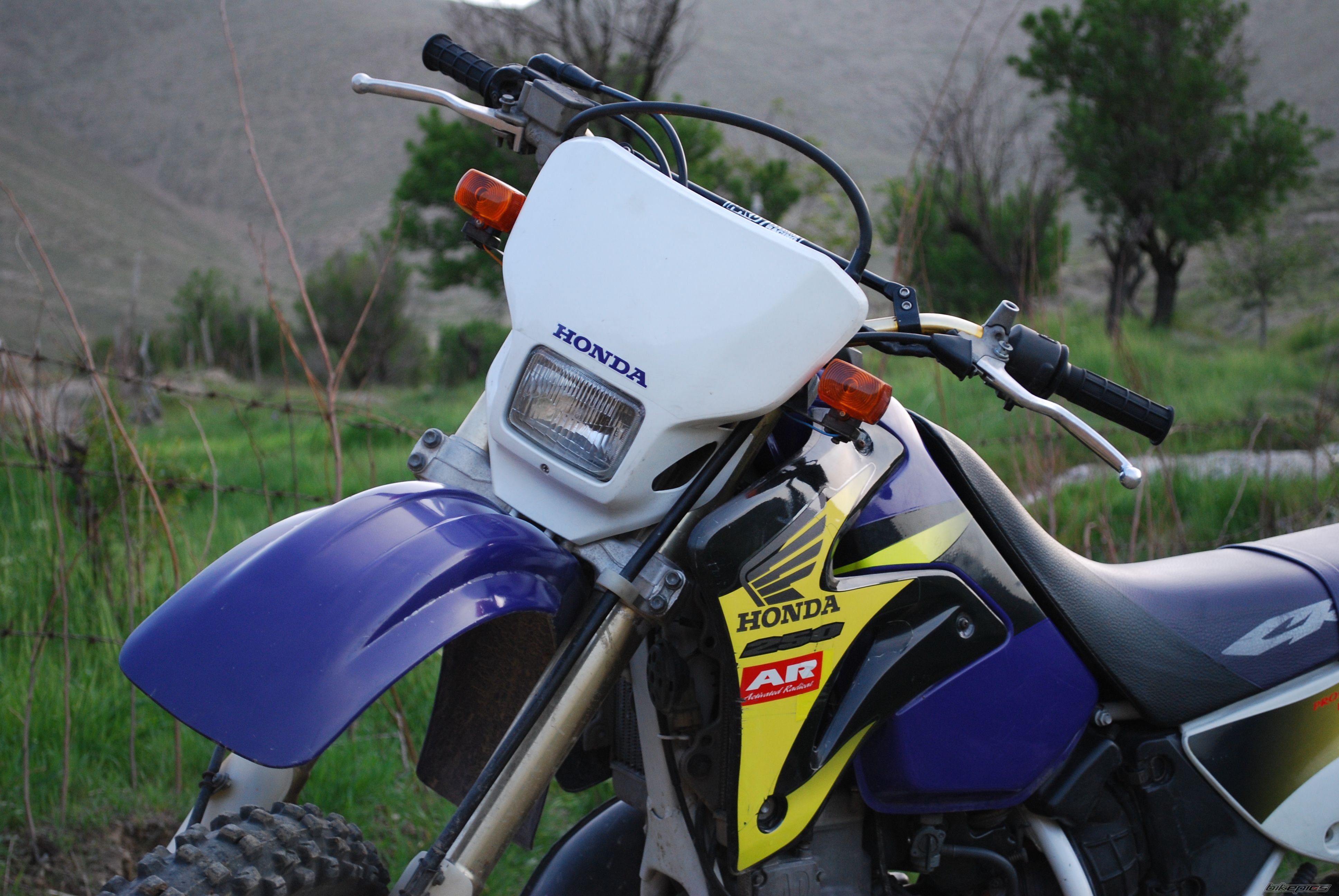 2009 HONDA CRM 250 | Picture 2479181 motorcycle photo