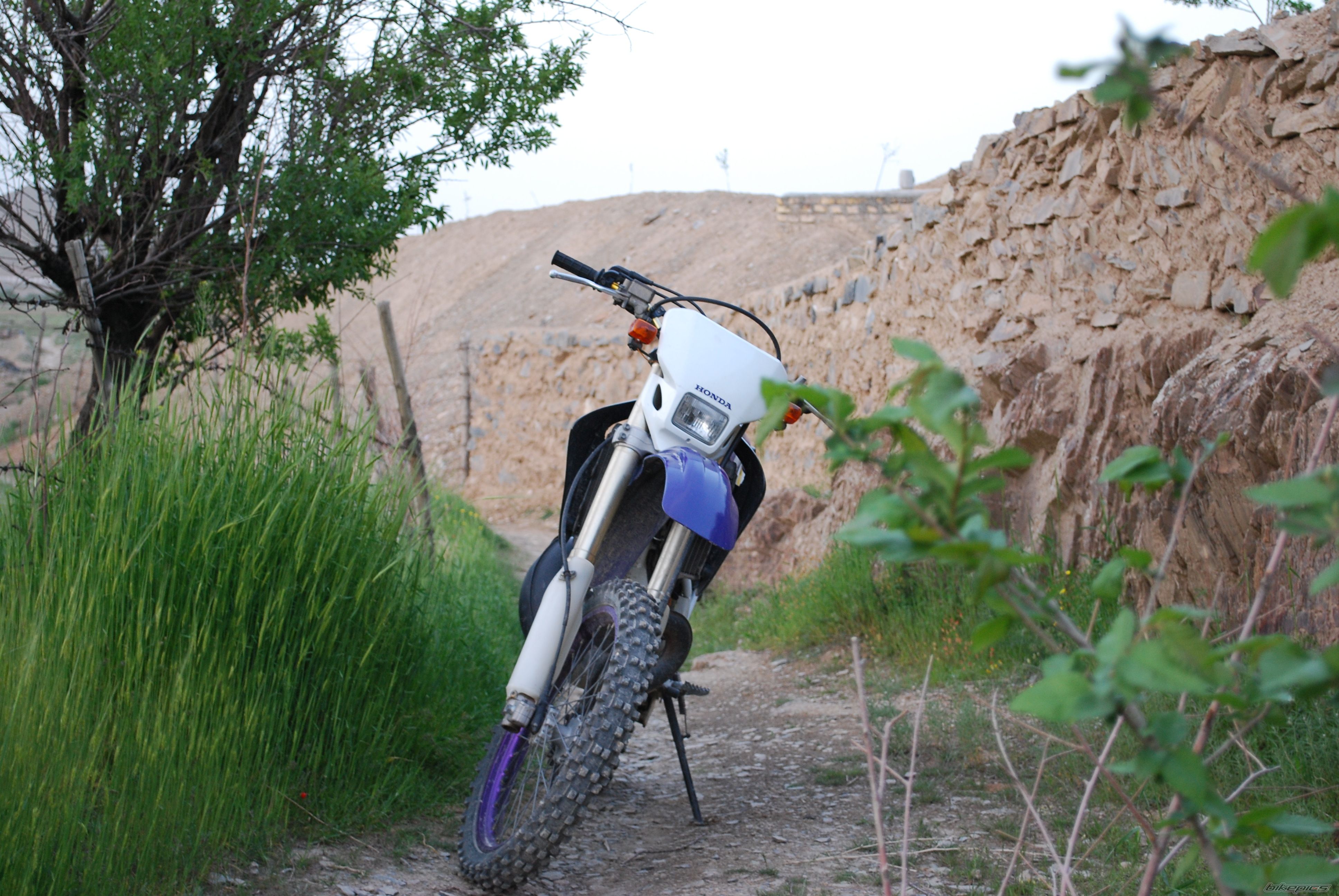 2009 HONDA CRM 250 | Picture 2479187 motorcycle photo