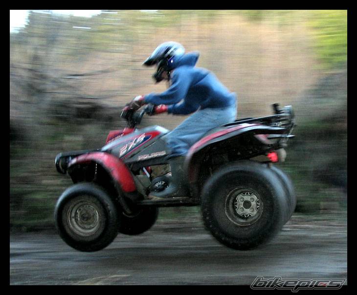1993 POLARIS TRAIL BOSS 350 | Picture 247922 motorcycle photo