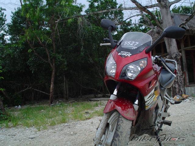 2003 HONDA CBR 150 | Picture 247939 motorcycle photo